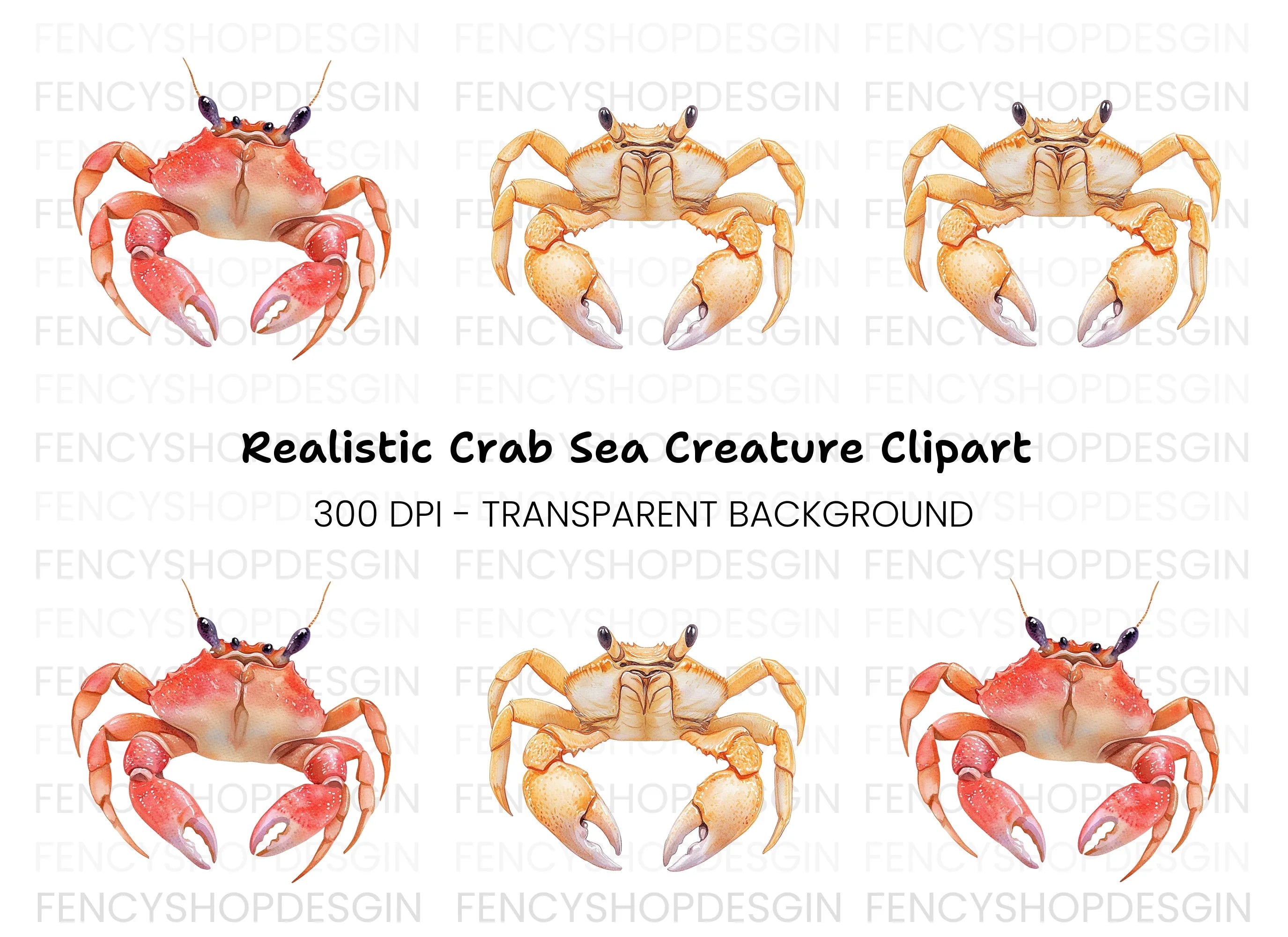 Vibrant Crab Duo Clipart Bundle