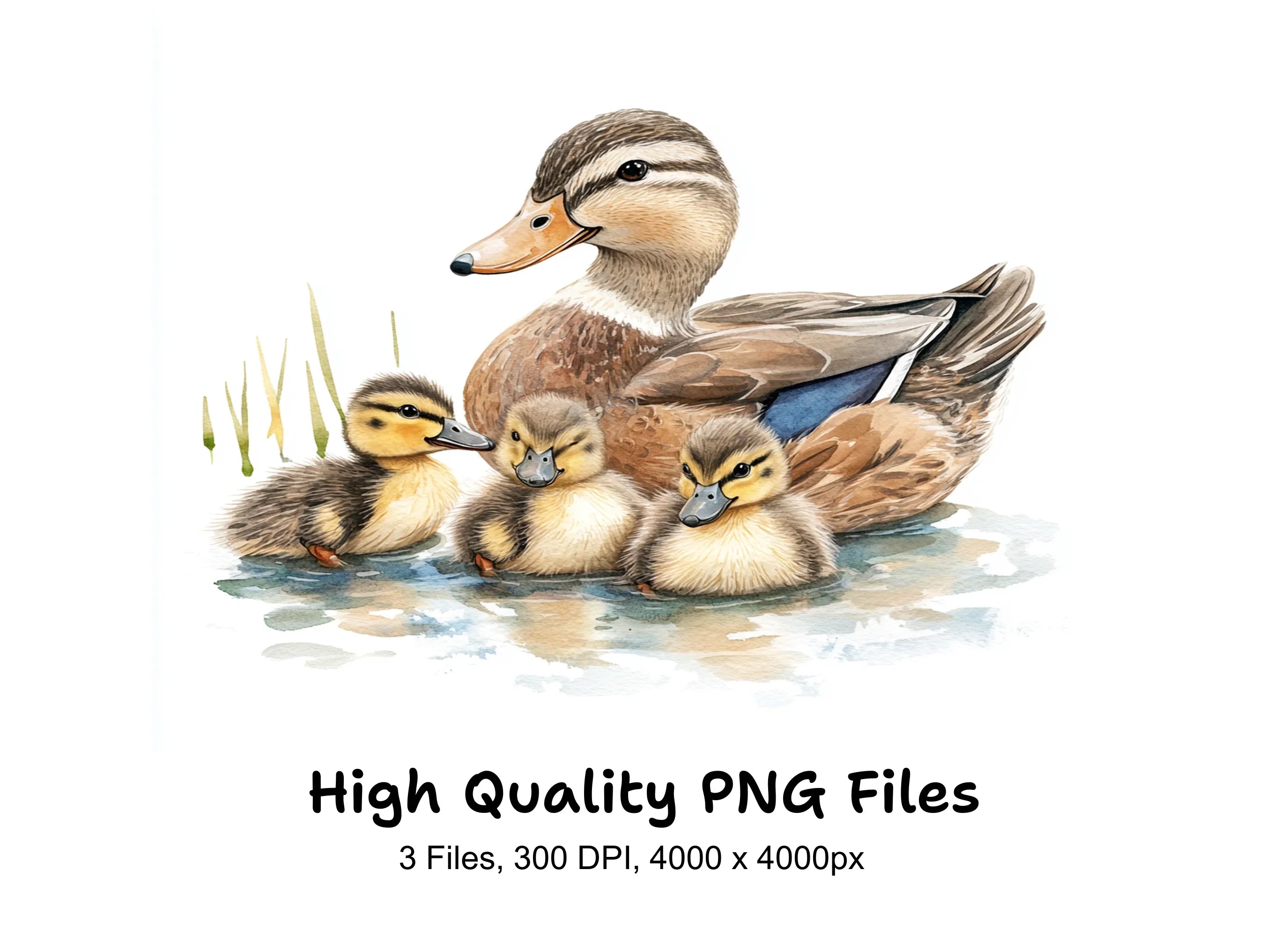 Duck and Duckling Clipart Bundle