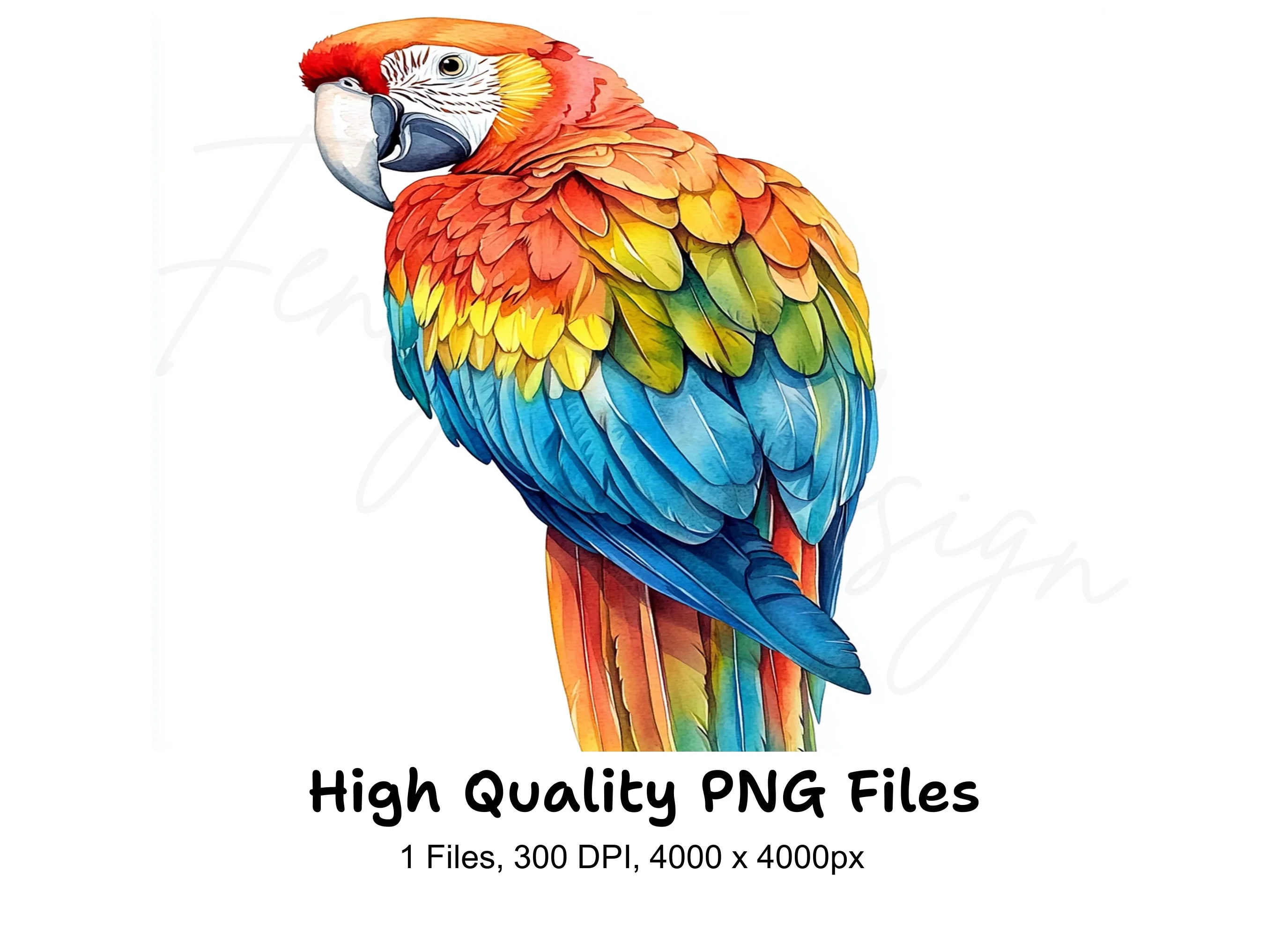 Vibrant Macaw Clipart Bundle