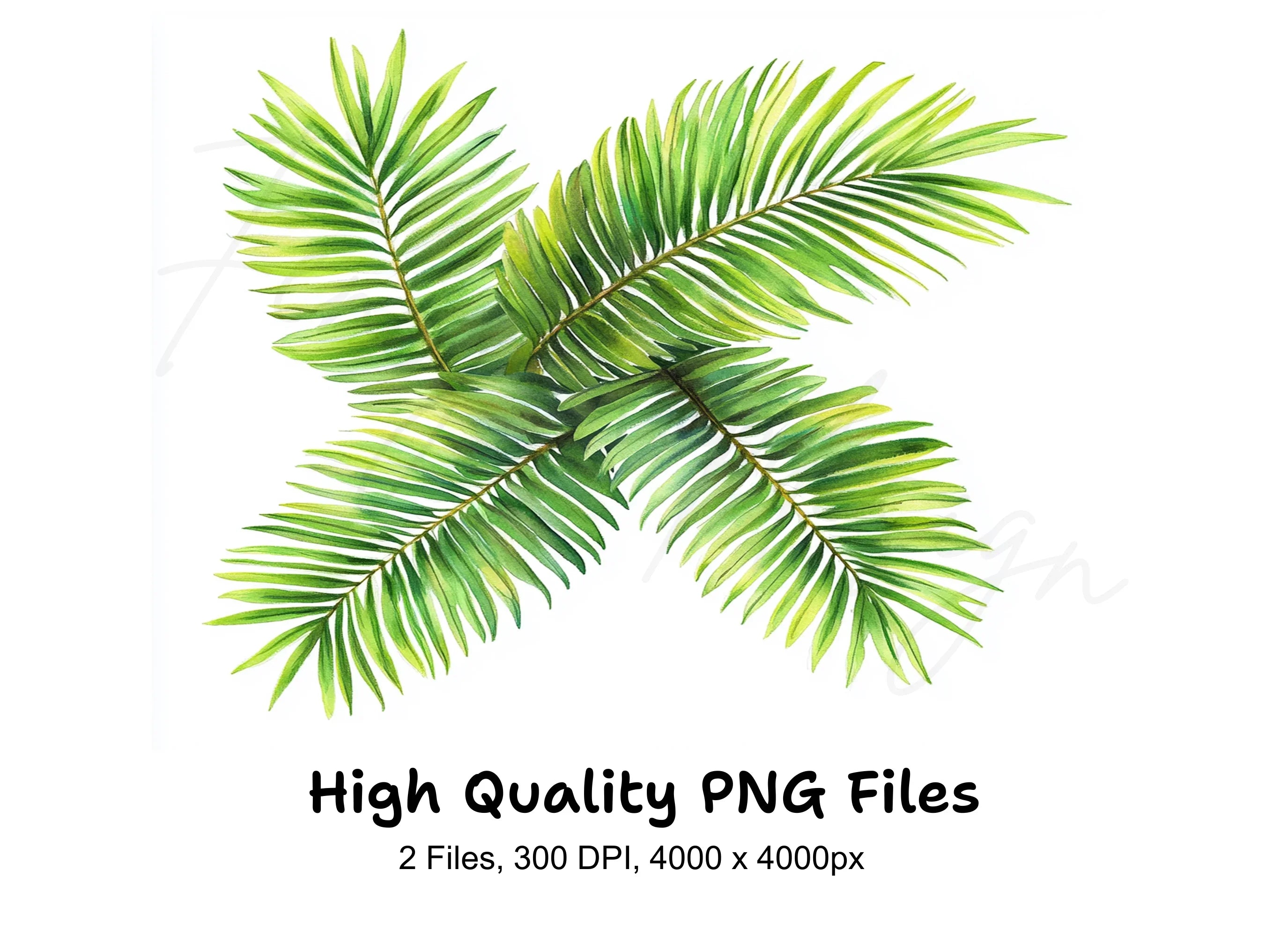 Lush Green Palm Leaves Clipart Bundle