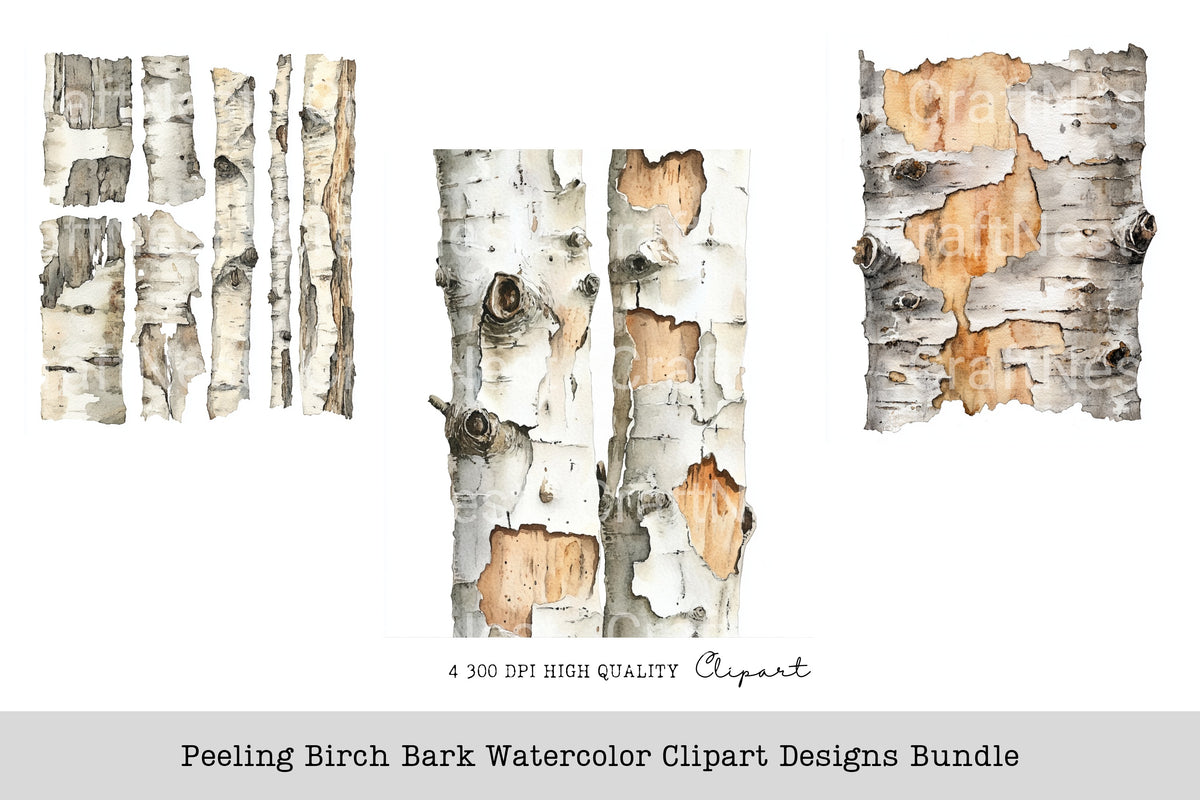 Peeling Birch Bark Designs Clipart Bundle