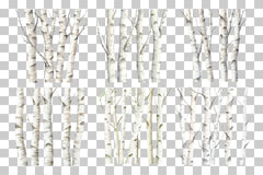 Birch Forest Paper Clipart Bundle - CraftNest - Digital Crafting and Art