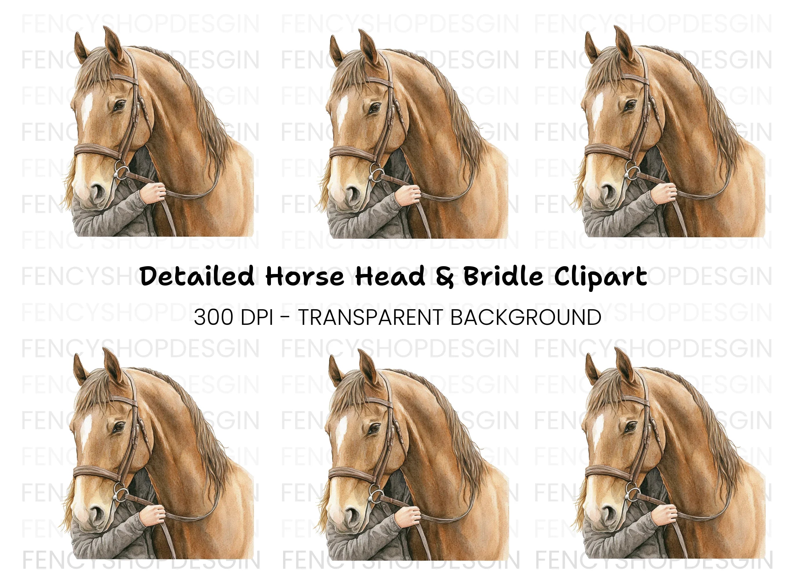Majestic Horse Head Clipart Bundle