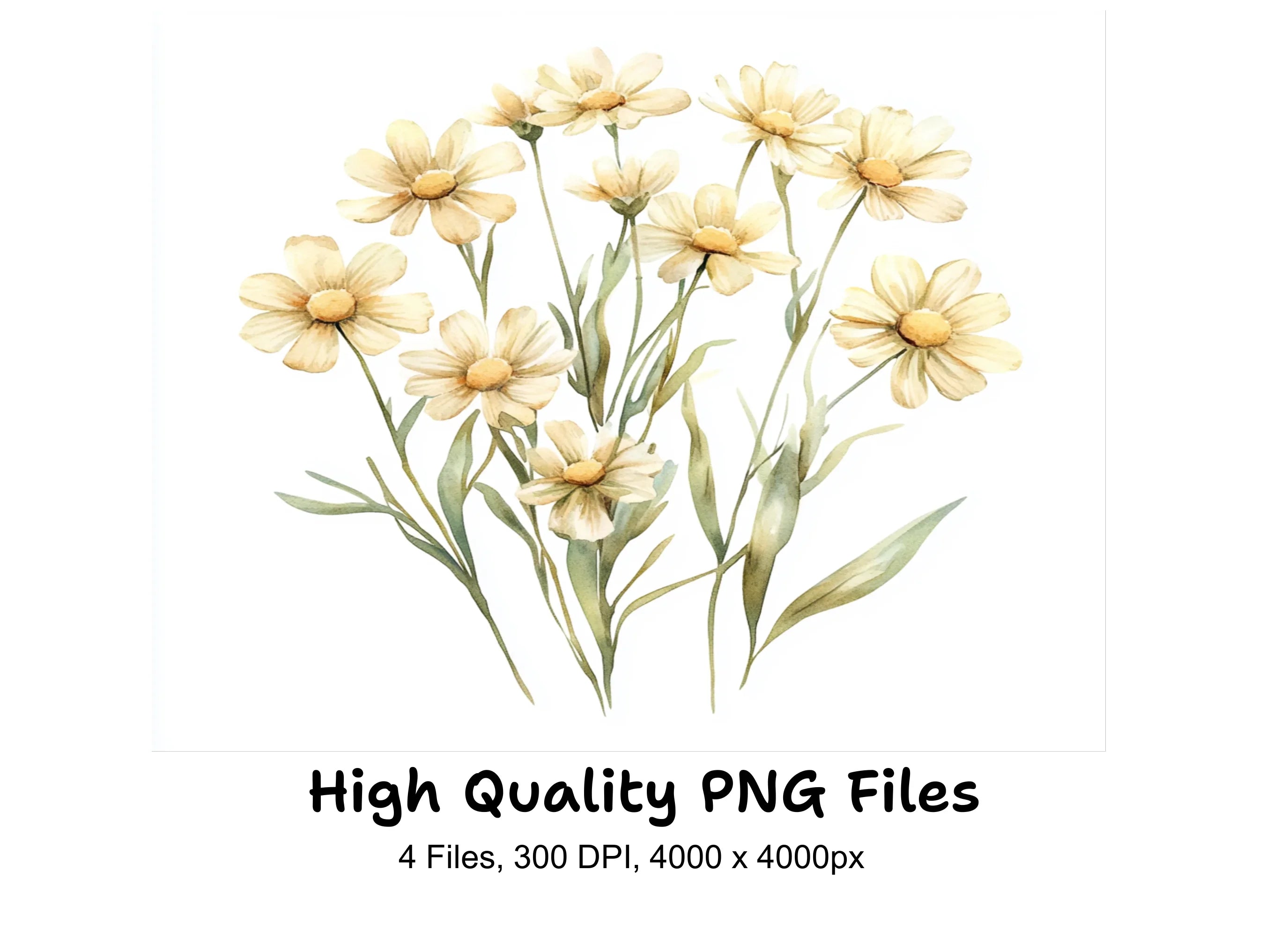 Delicate Yellow Wildflower Clipart Bundle