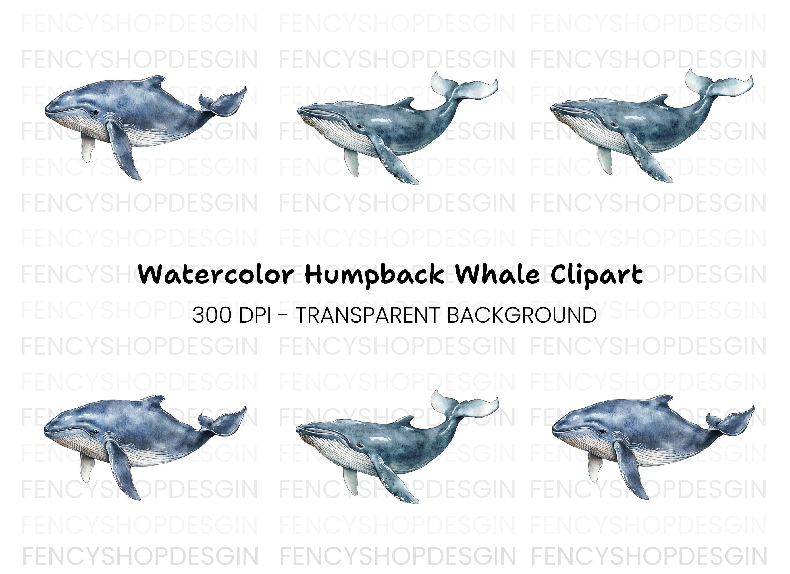 Blue Whale Clipart Bundle