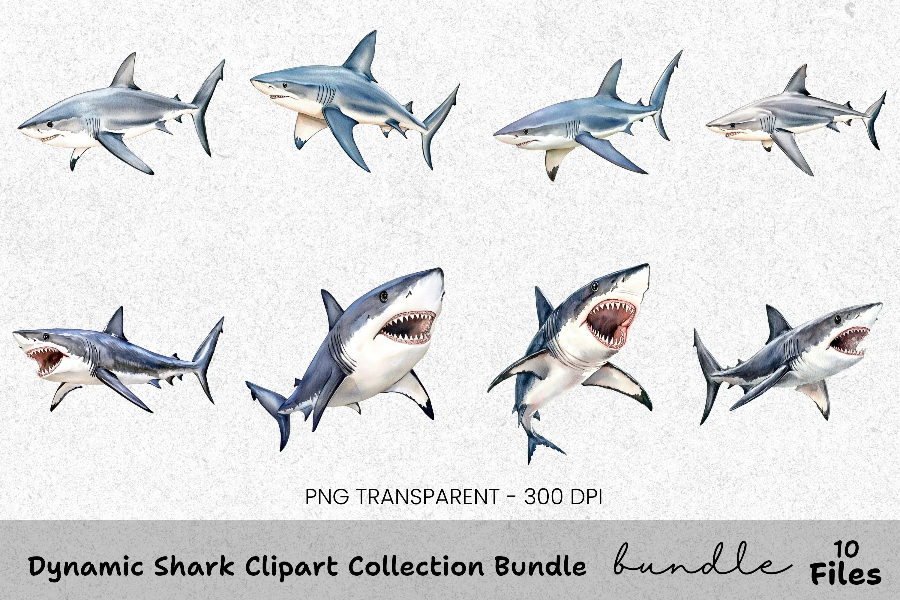Dynamic Shark Clipart Bundle