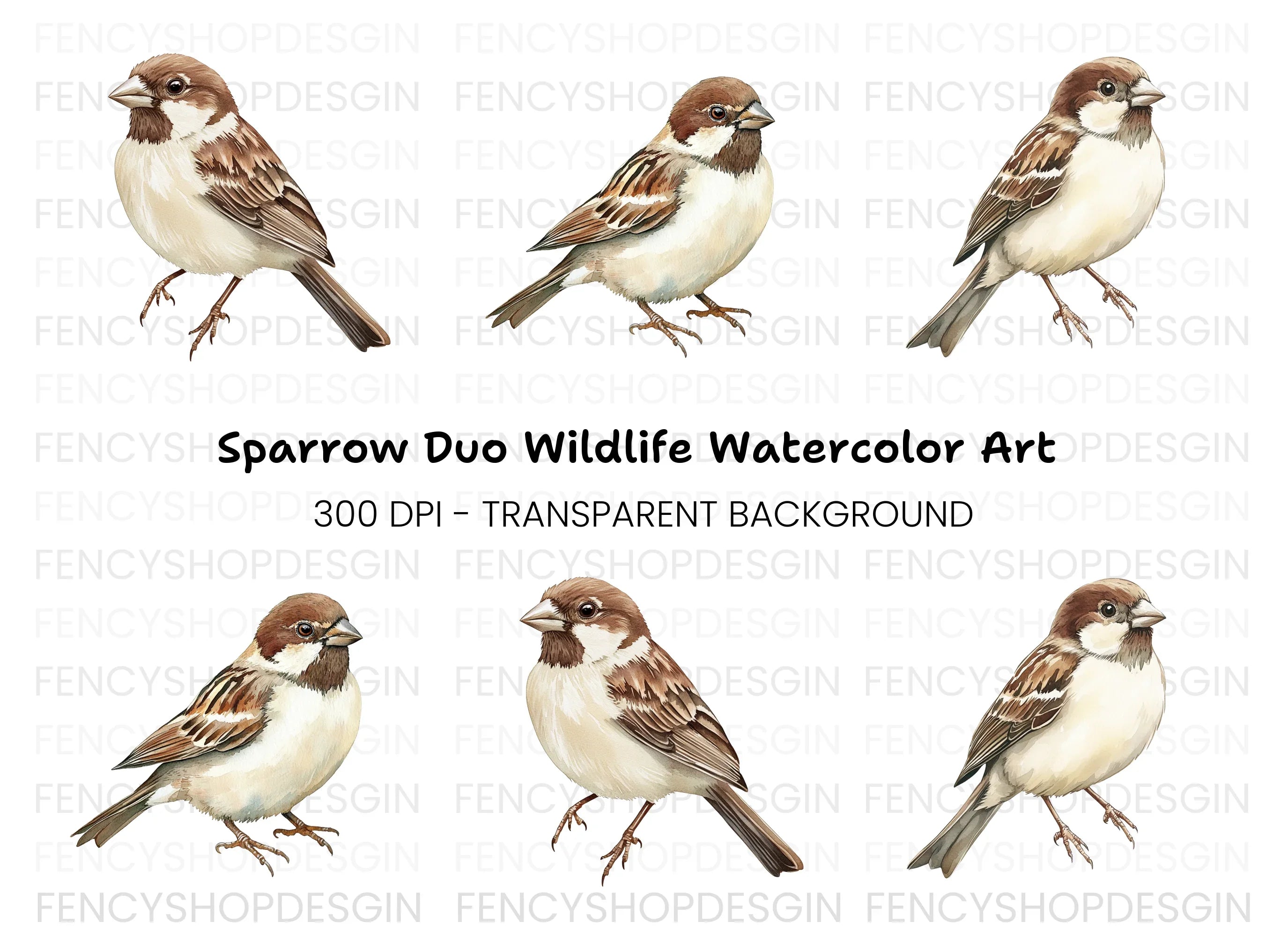 Sparrow Birds Clipart Bundle