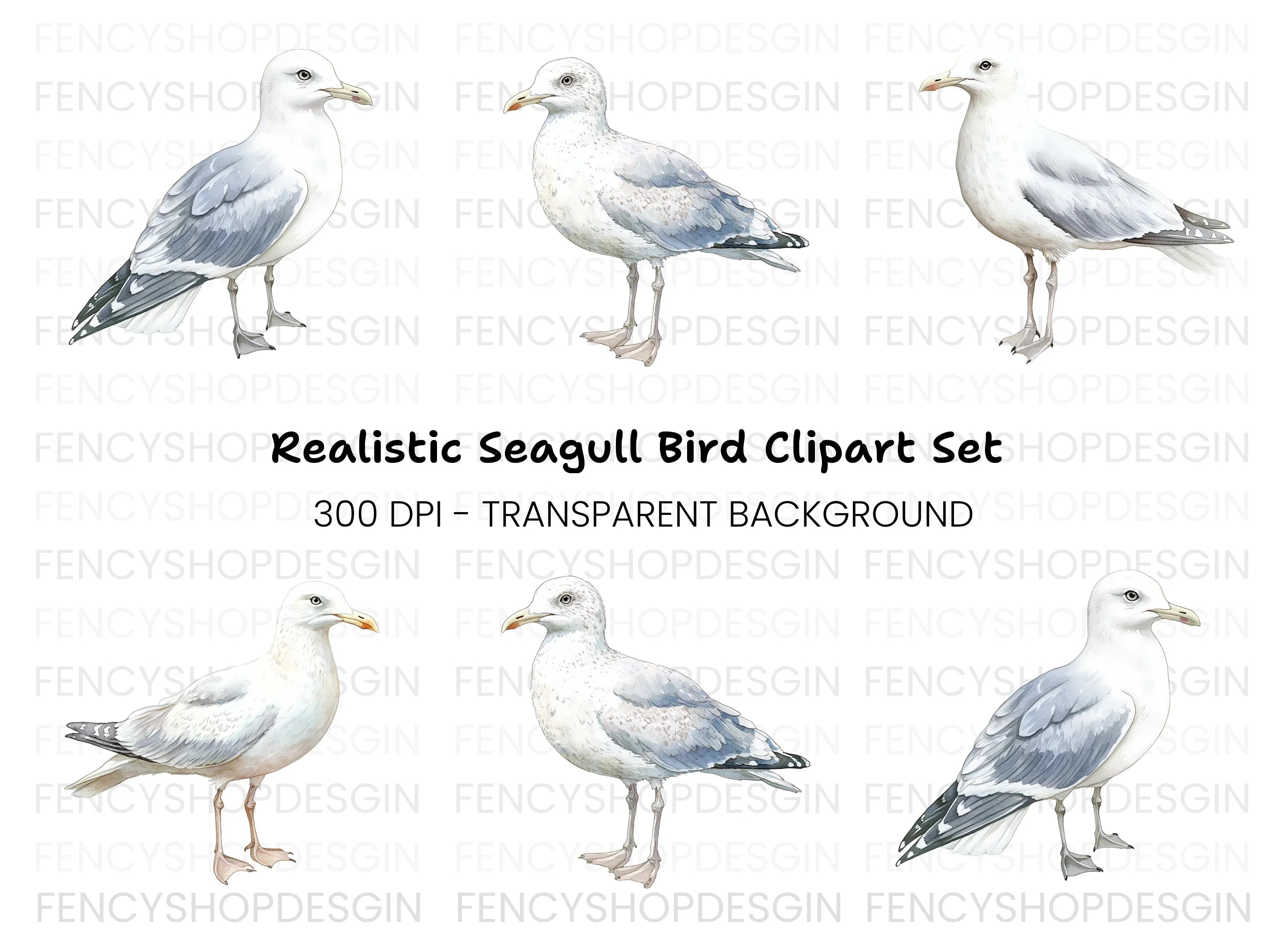 Realistic Seagull Clipart Bundle