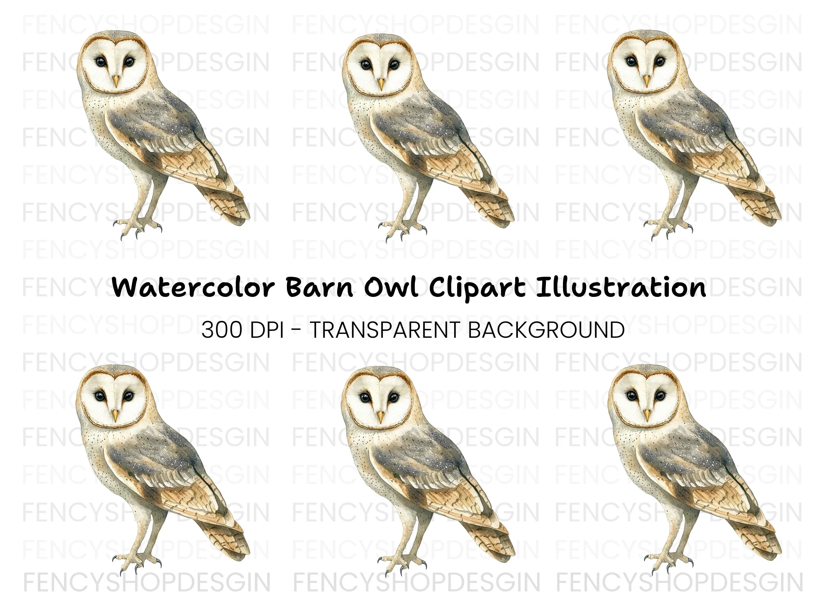 Barn Owl Clipart Bundle