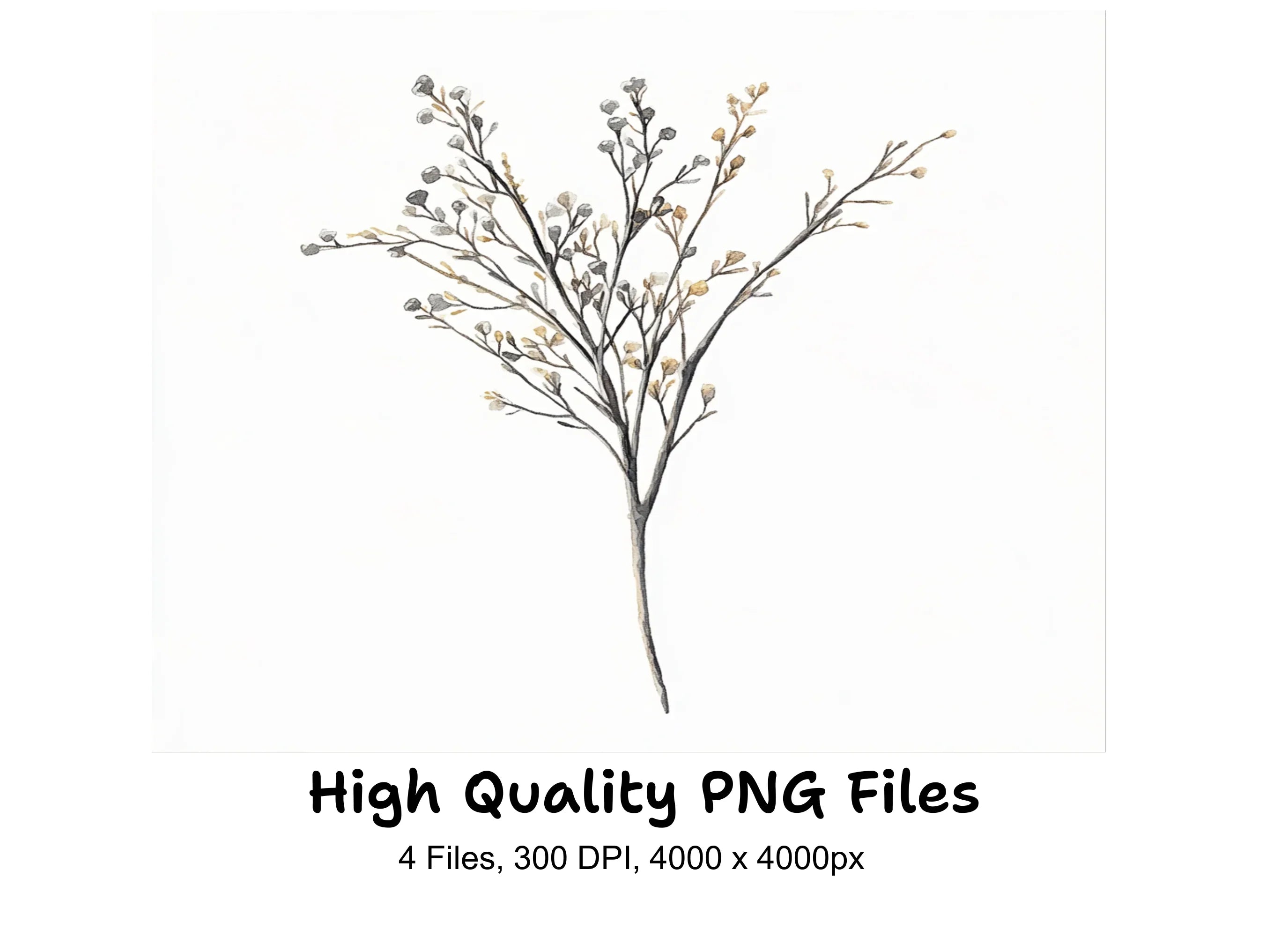 Pussy Willow Twigs Clipart Bundle
