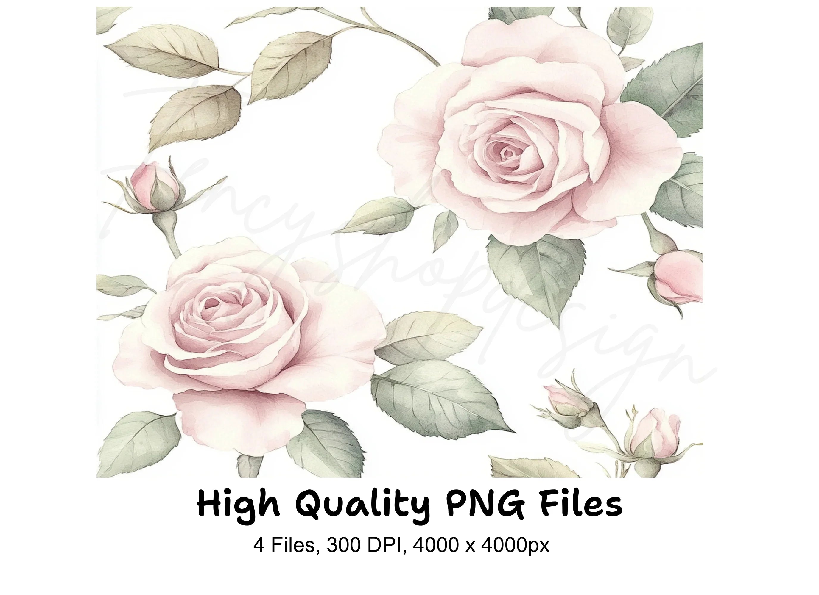Elegant Pink Roses Clipart Bundle