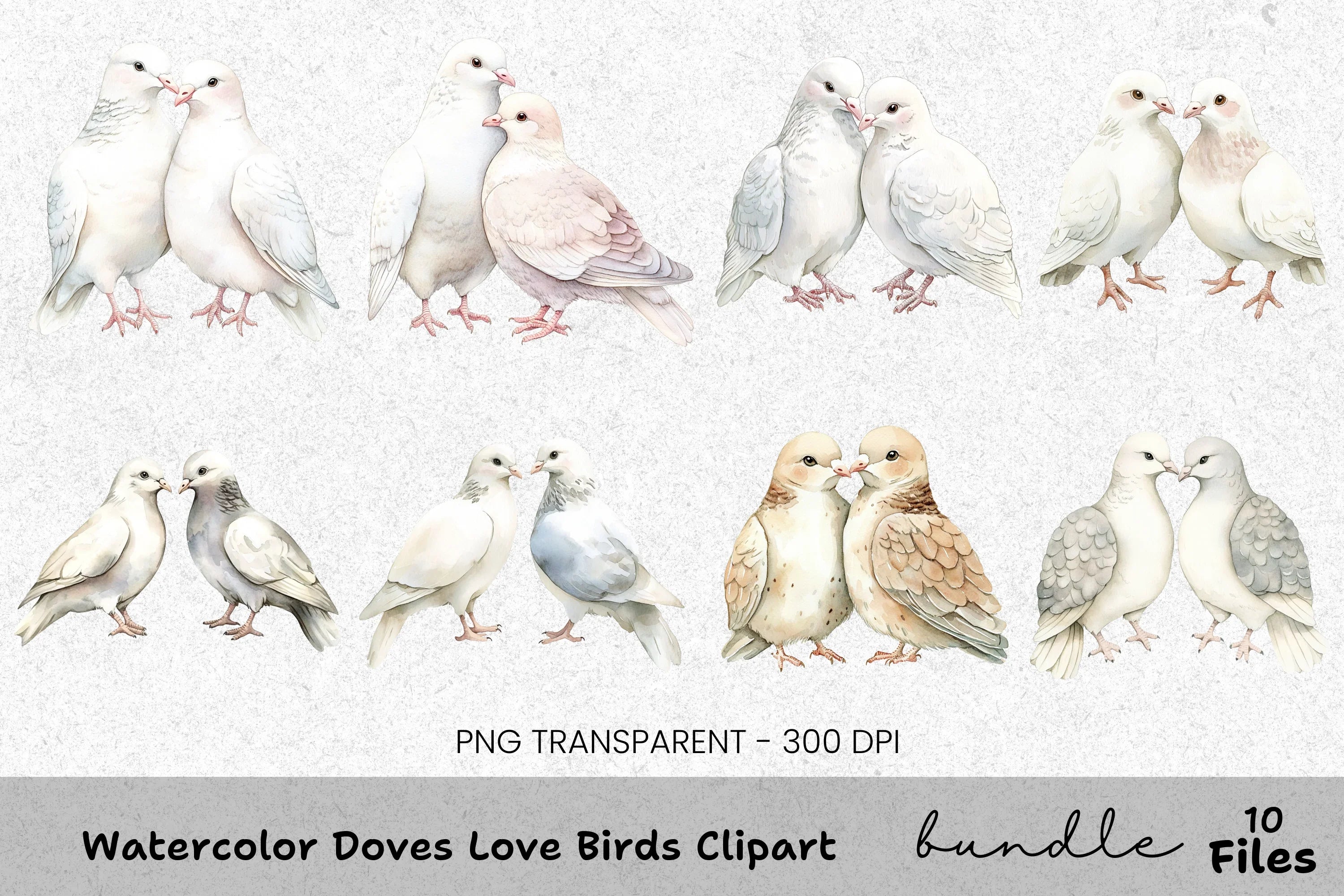 Doves Love Birds Clipart Bundle