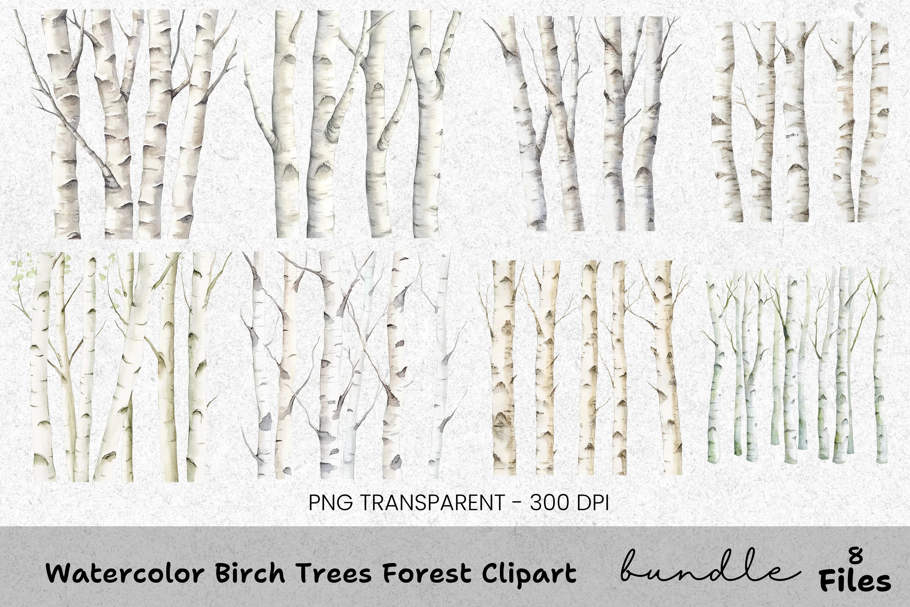 Birch Trees Forest Clipart Bundle