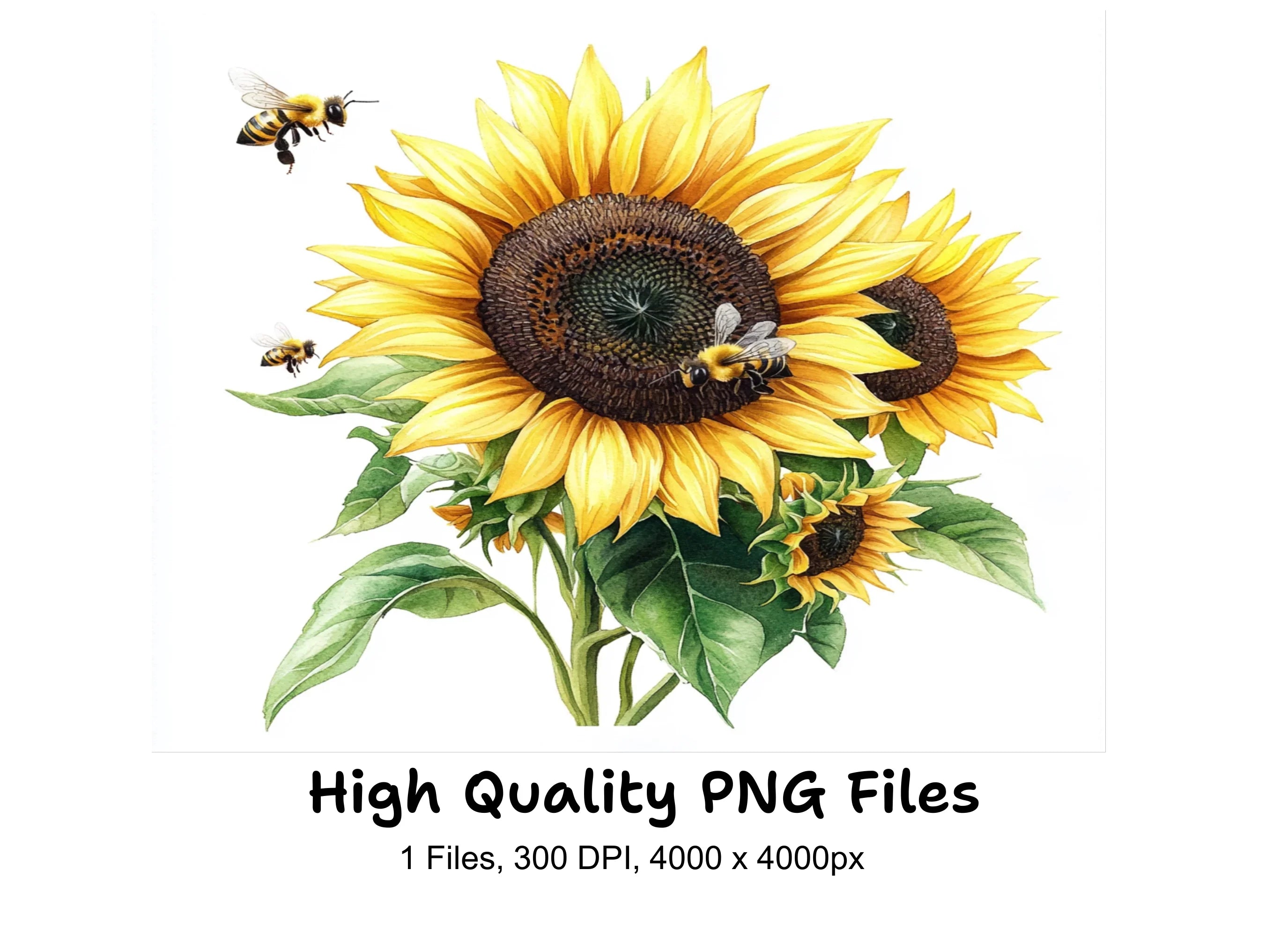 Vibrant Sunflower Bees Clipart Bundle