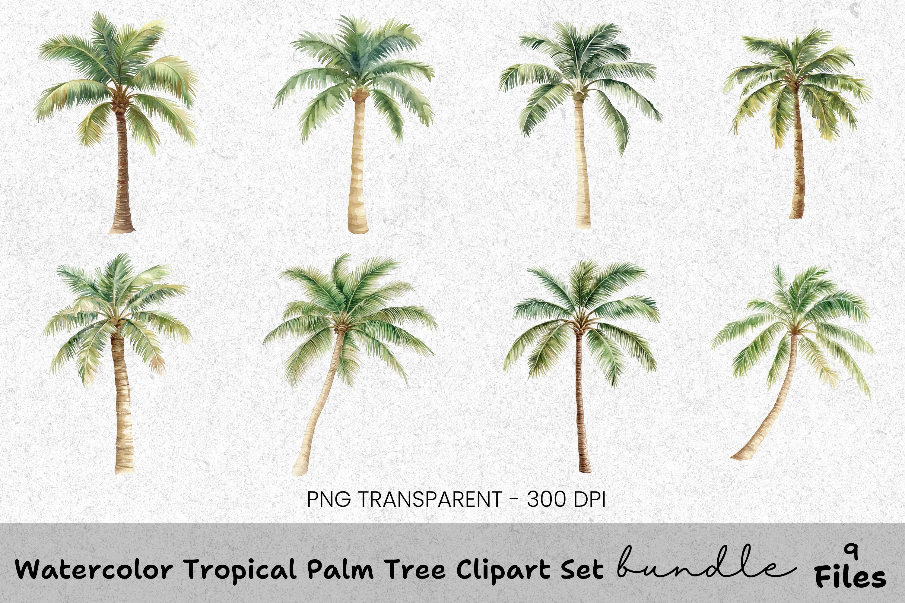 Tropical Palm Tree Clipart Bundle