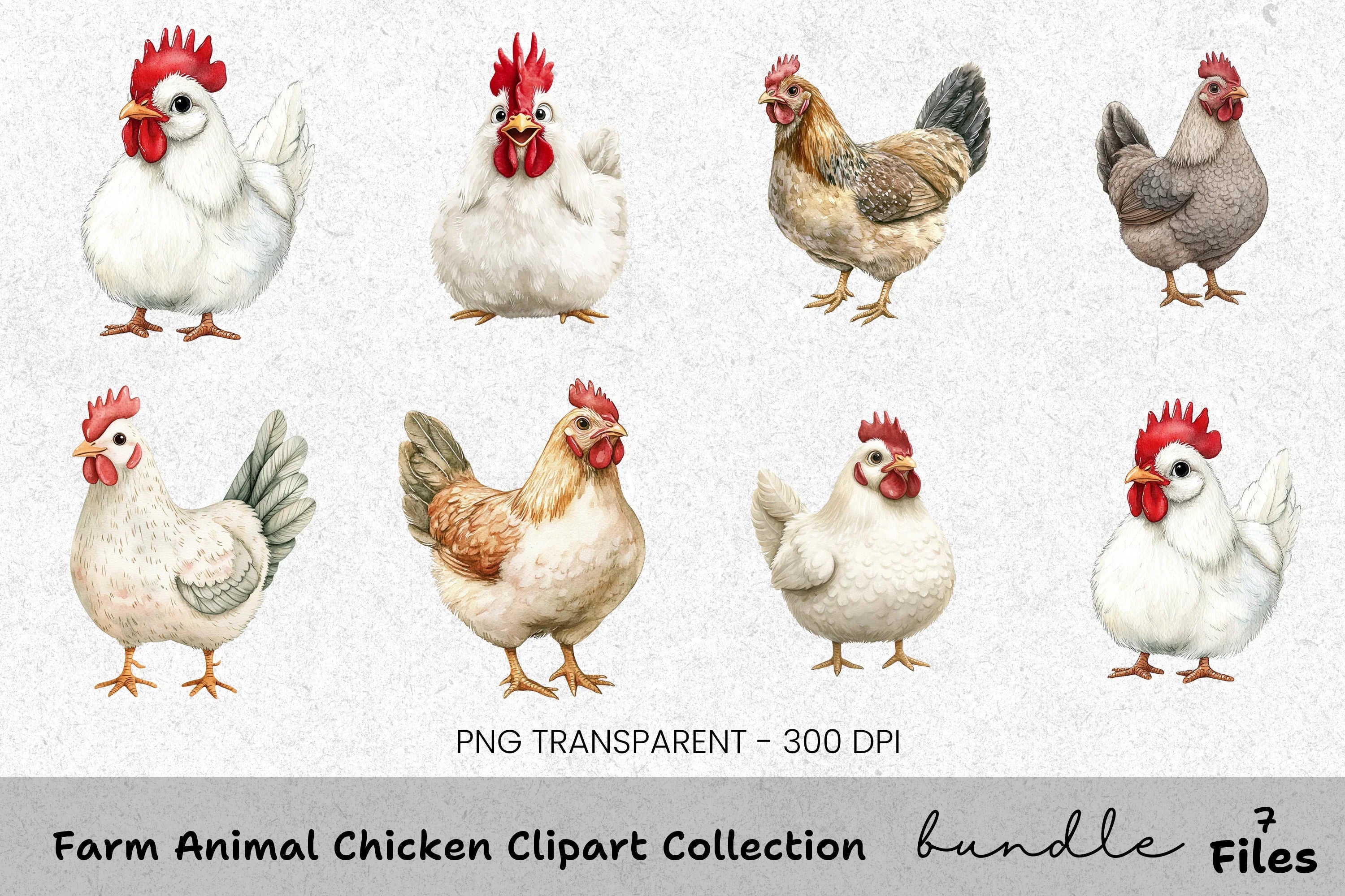 Farm Animal Chicken Clipart Bundle