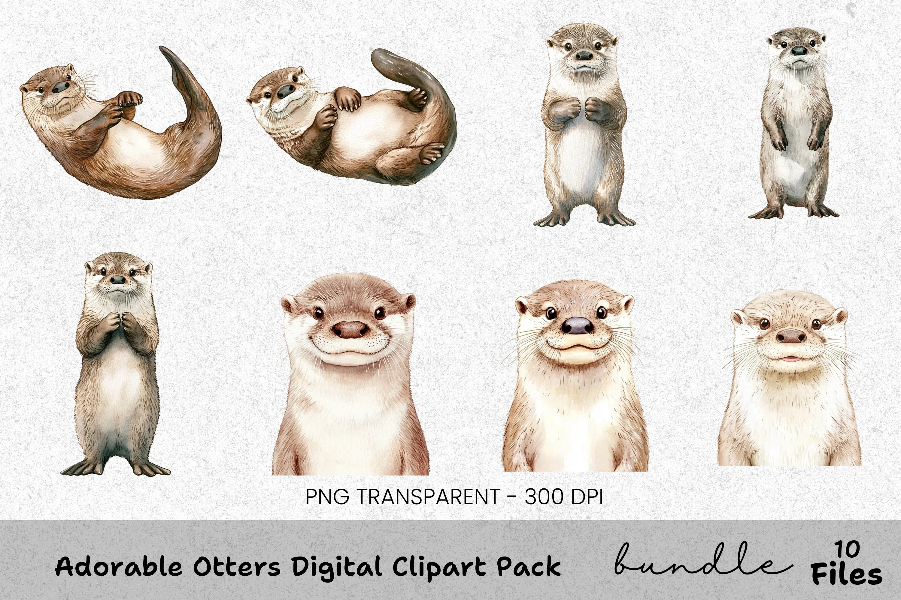 Adorable Otters Clipart Bundle