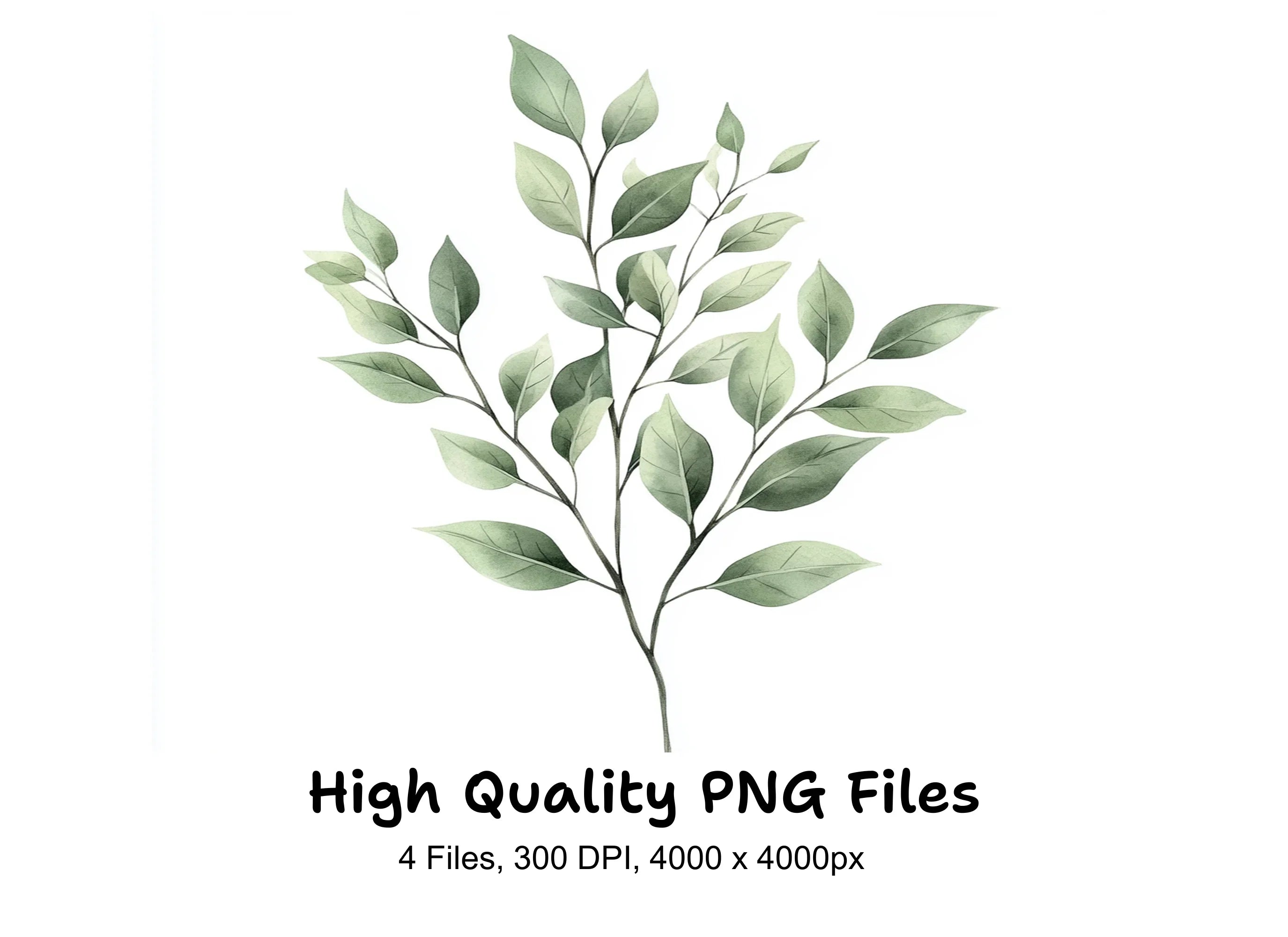 Green Leafy Branches Clipart Bundle