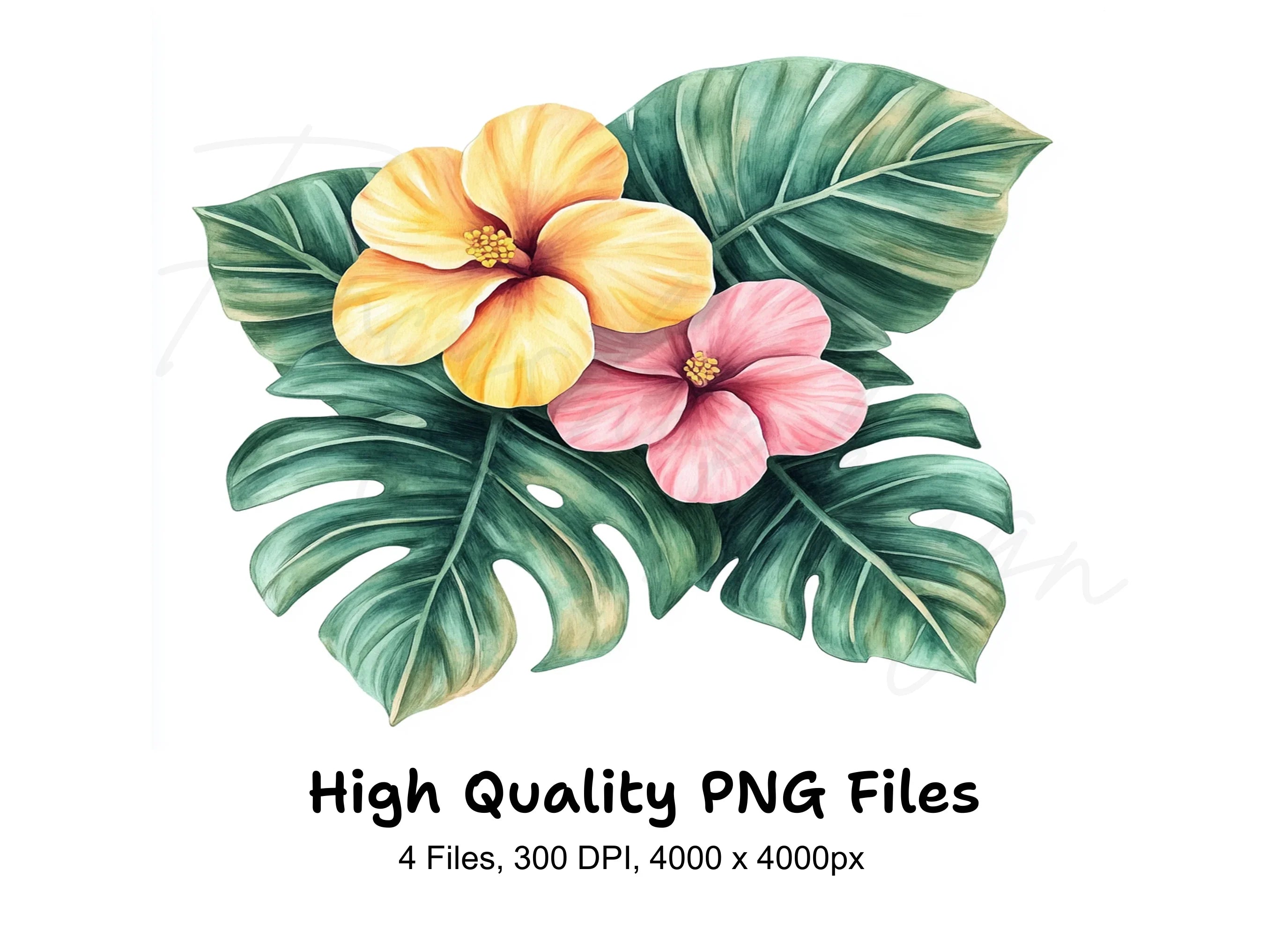Tropical Hibiscus Flower Clipart Bundle
