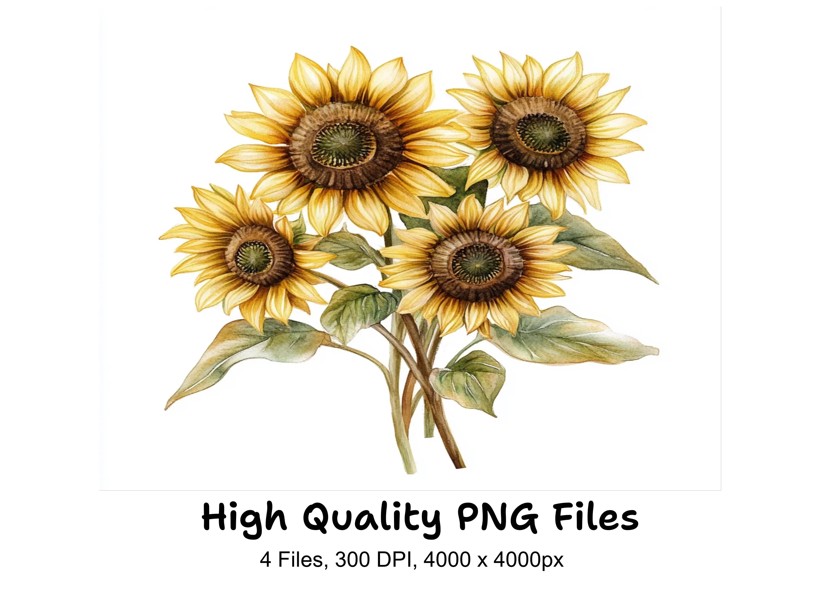 Sunflower Bouquets Clipart Bundle