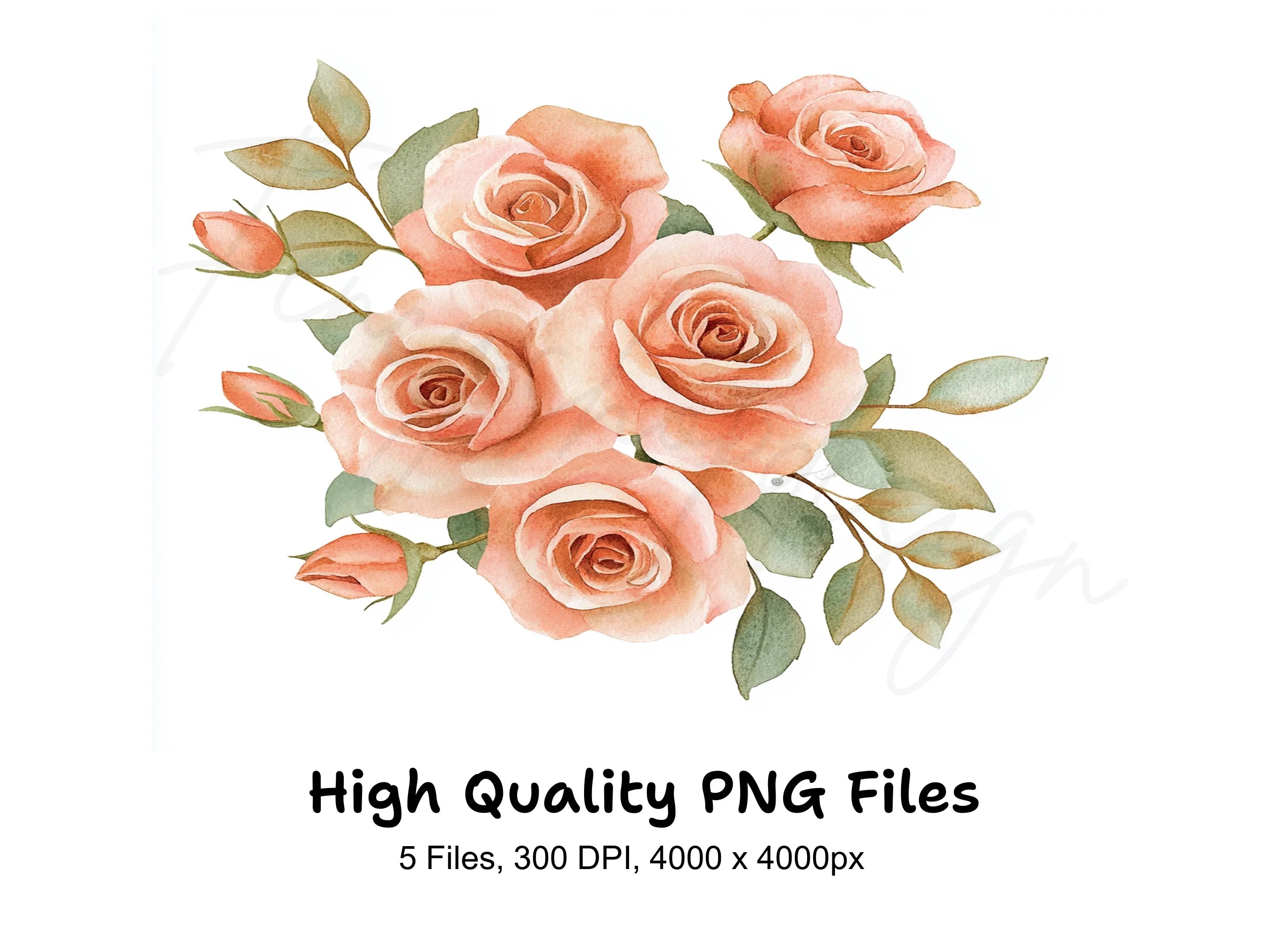 Peach Rose Clipart Bundle