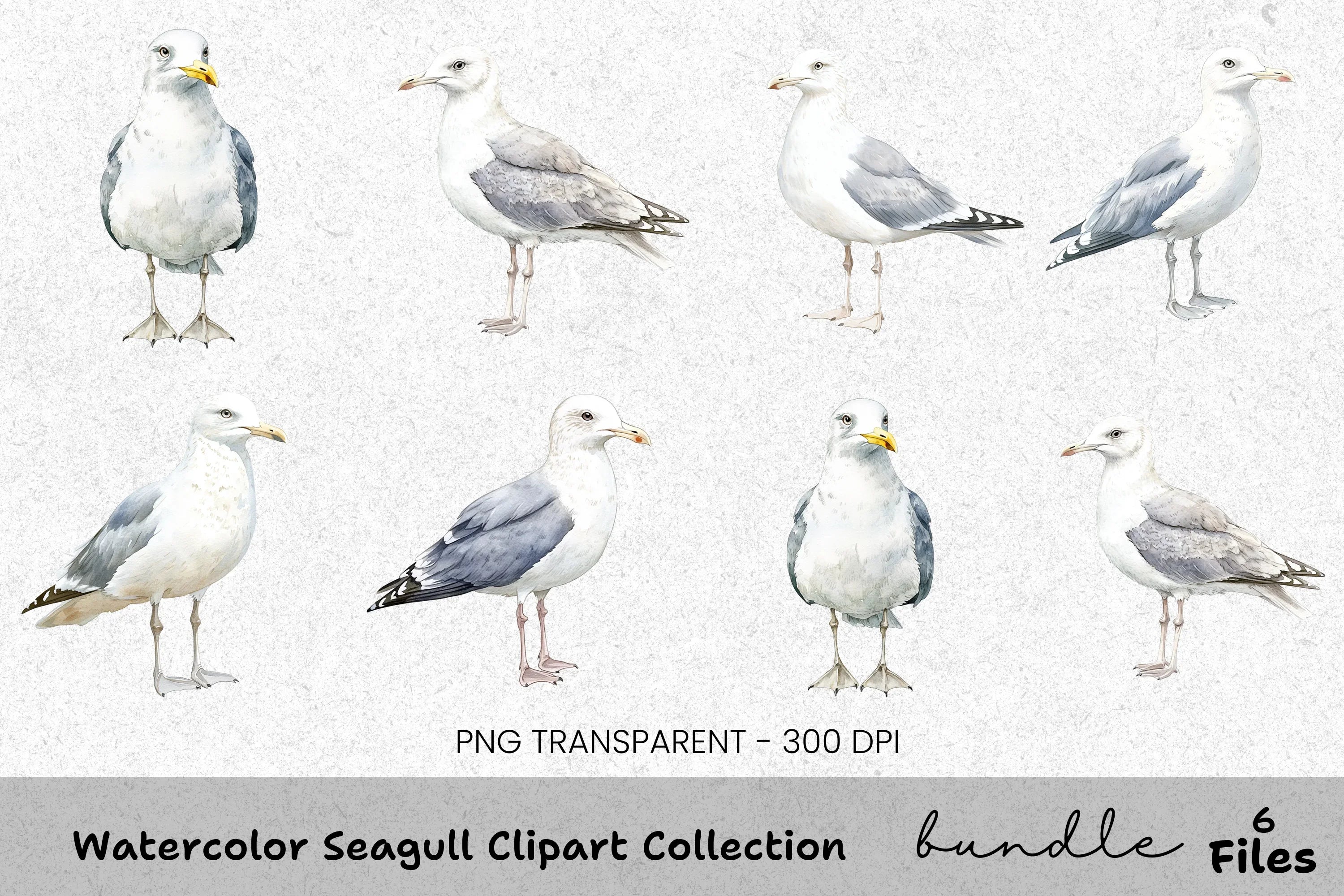 Seagull Clipart Bundle