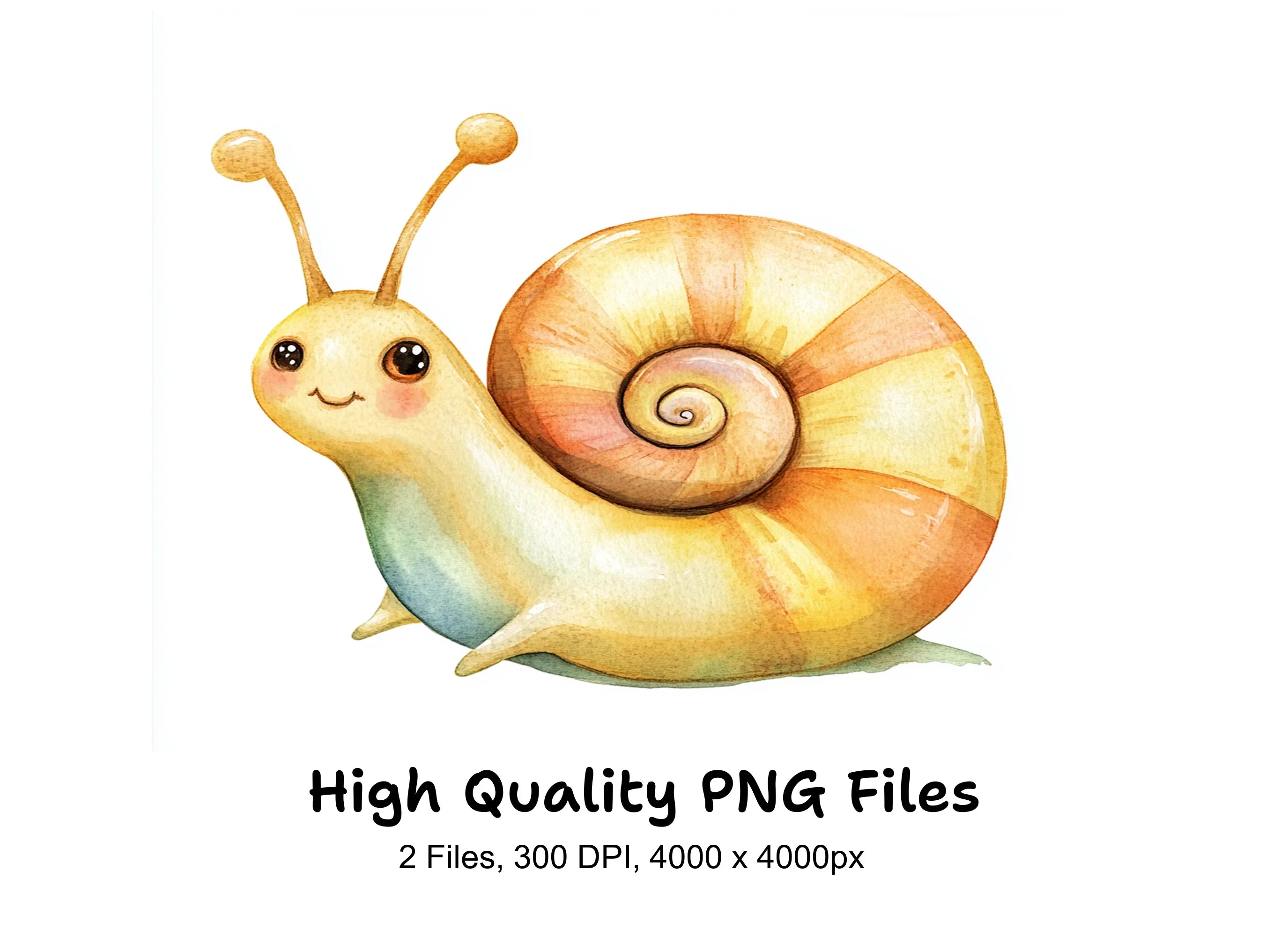 Cute Snail Clipart Bundle