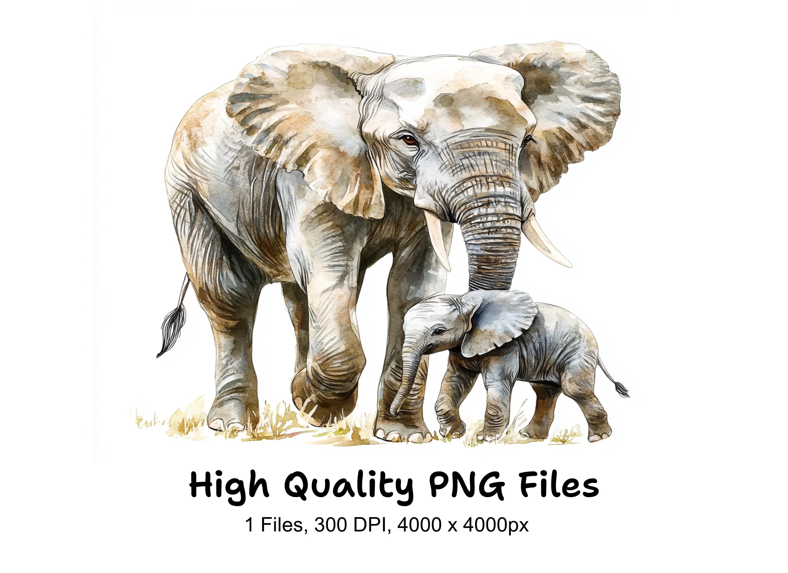 Cute Elephant Family Clipart Bundle