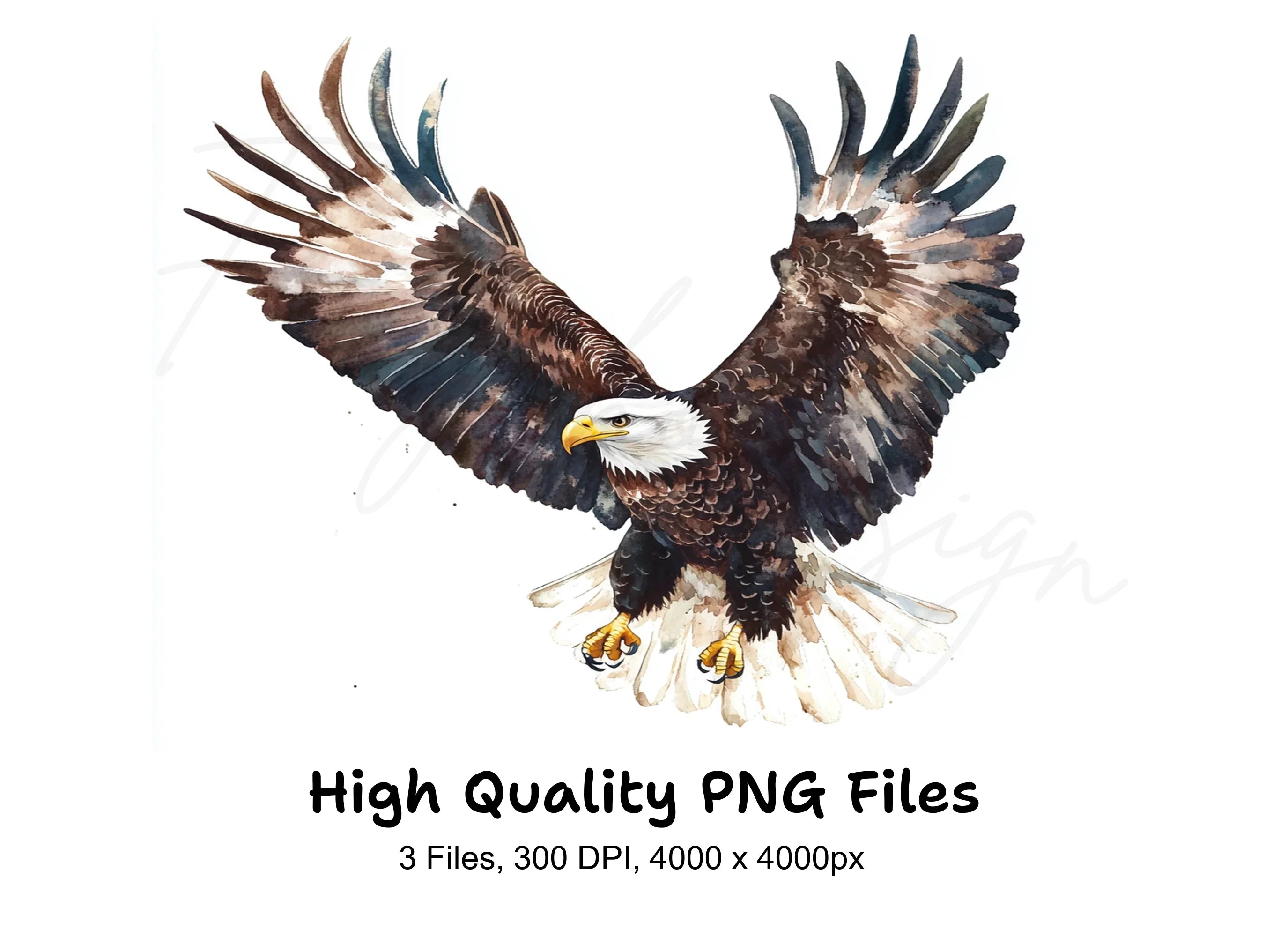 Bald Eagles Clipart Bundle