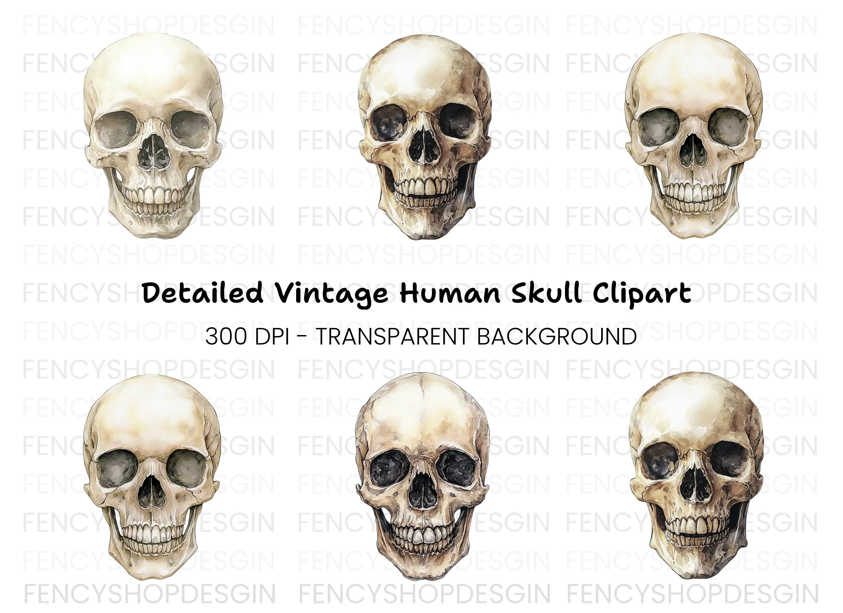 Human Skull Clipart Bundle