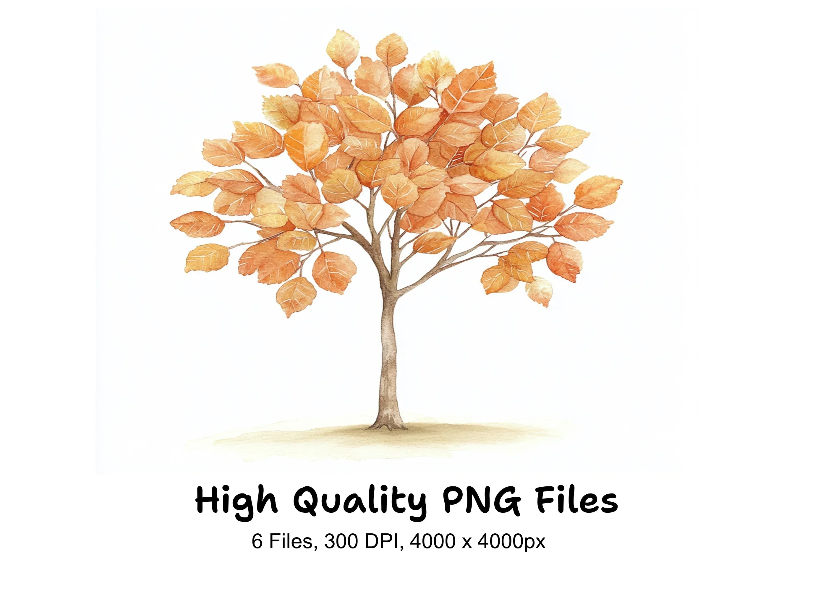 Autumn Trees Clipart Bundle