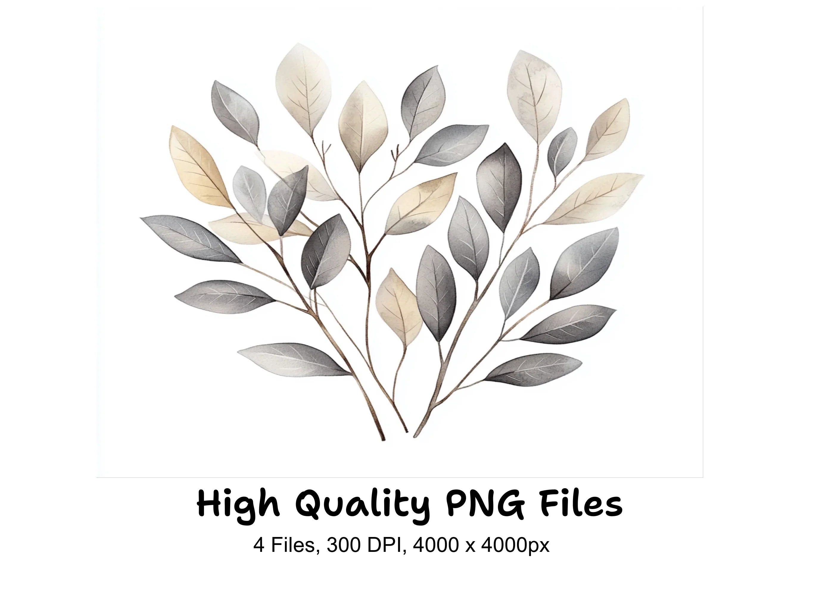 Eucalyptus Branches Clipart Bundle