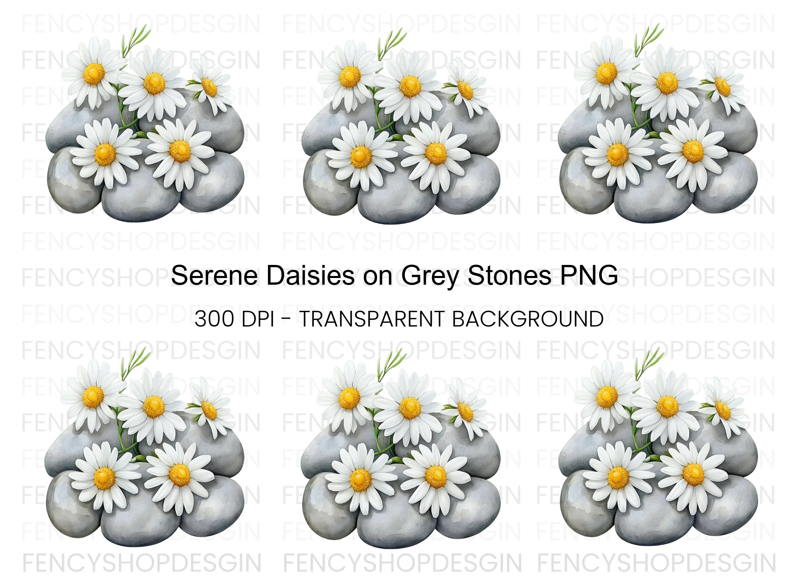 Daisy and Stone Arrangement Clipart Bundle