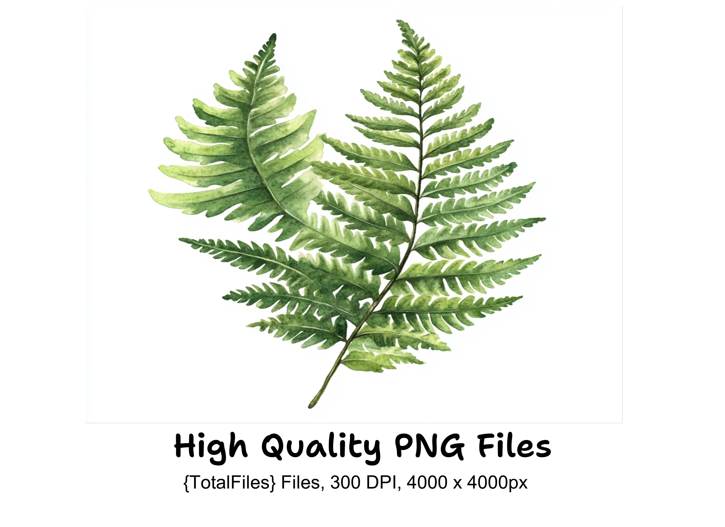 Green Fern Foliage Clipart Bundle