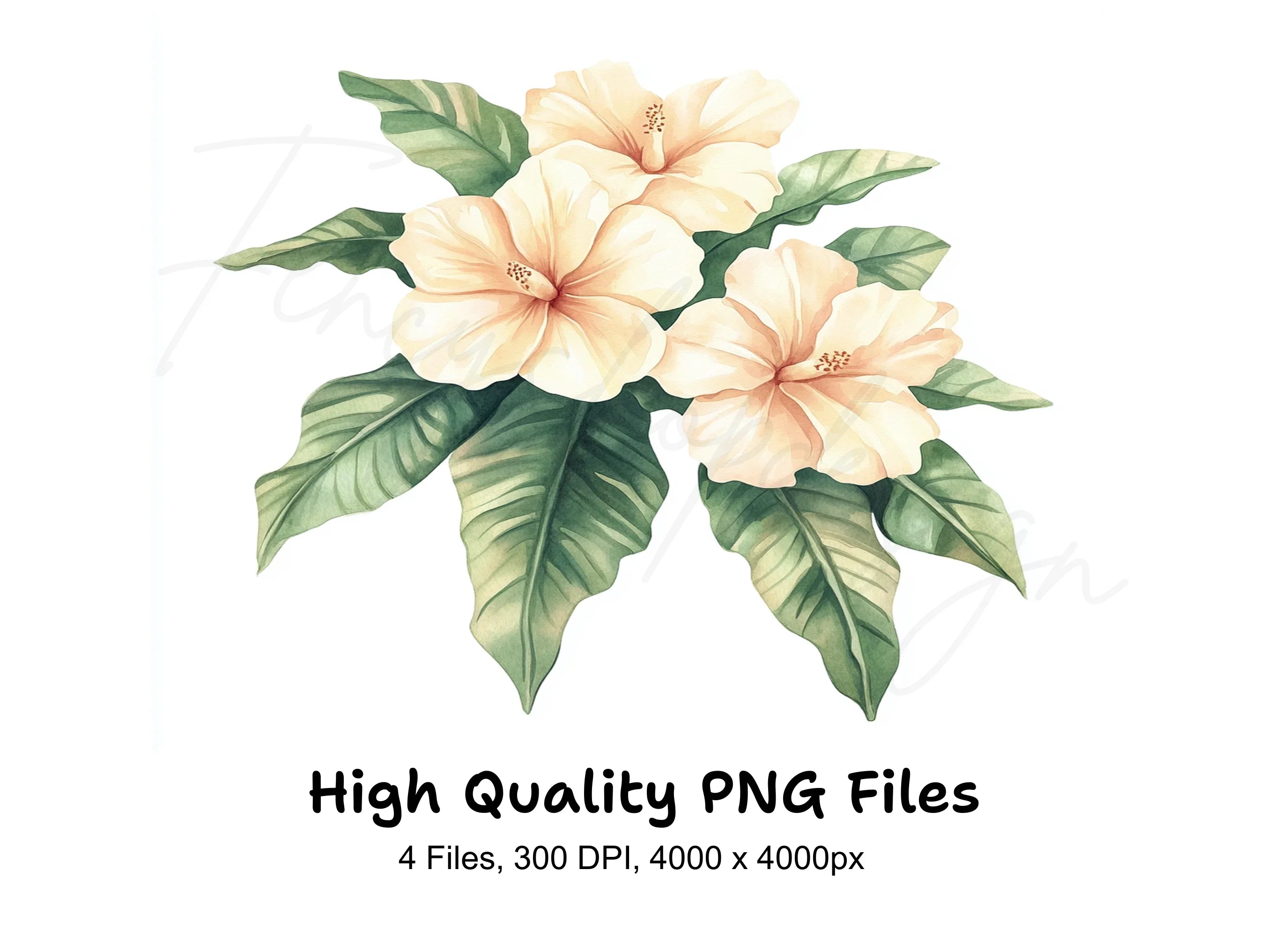Hibiscus and Tropical Leaves Clipart Bundle