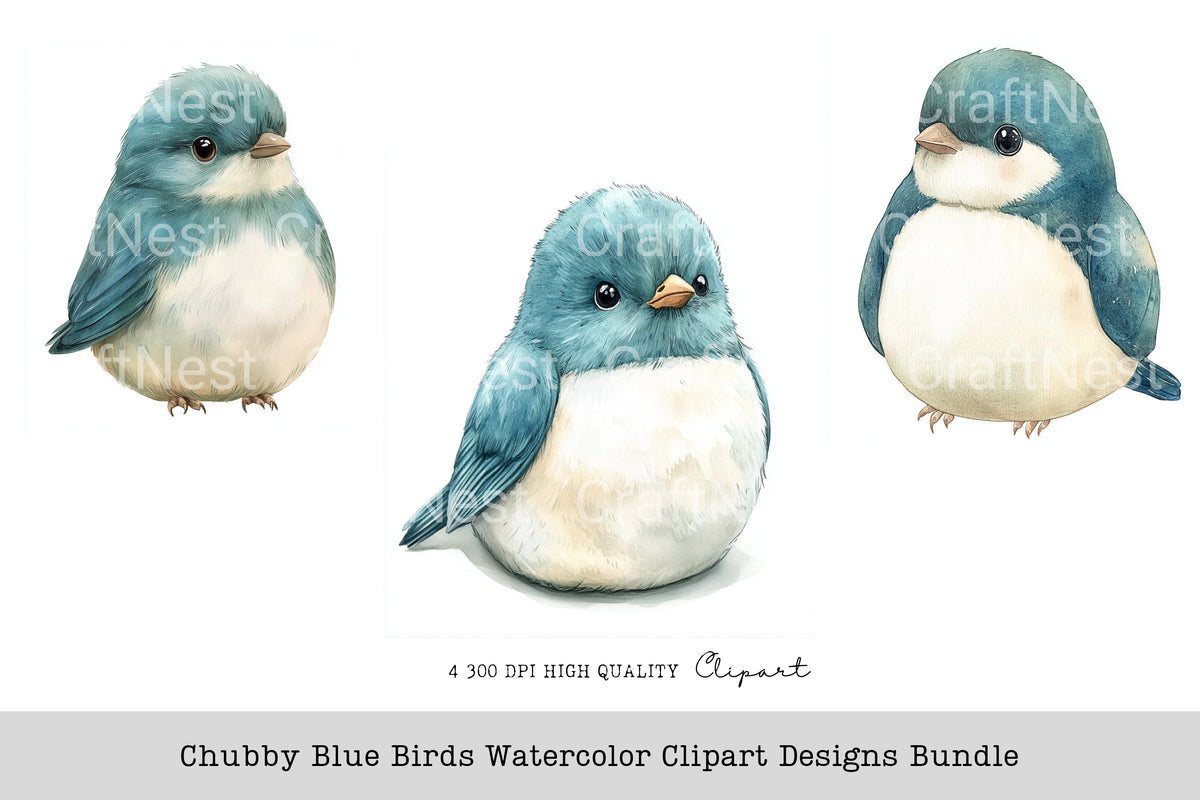 Chubby Blue Birds Designs Clipart Bundle