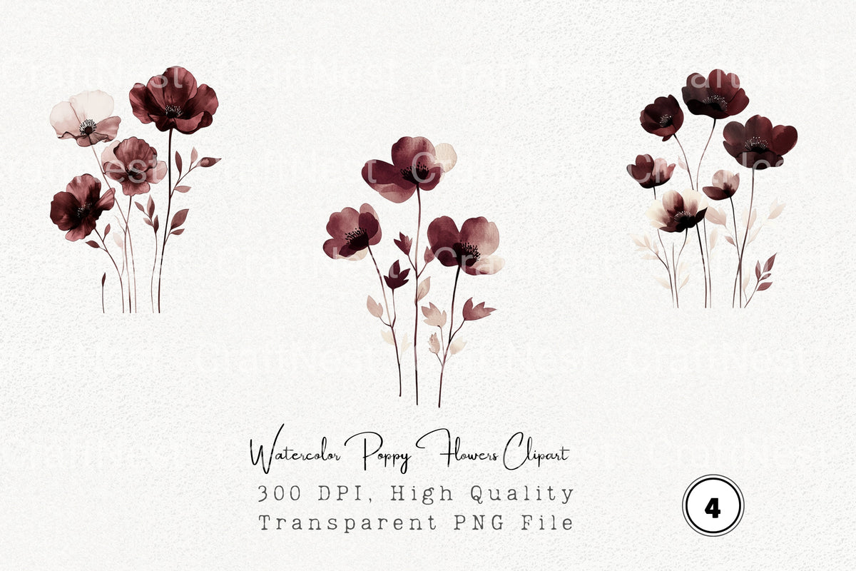 Poppy Flowers Clipart Bundle