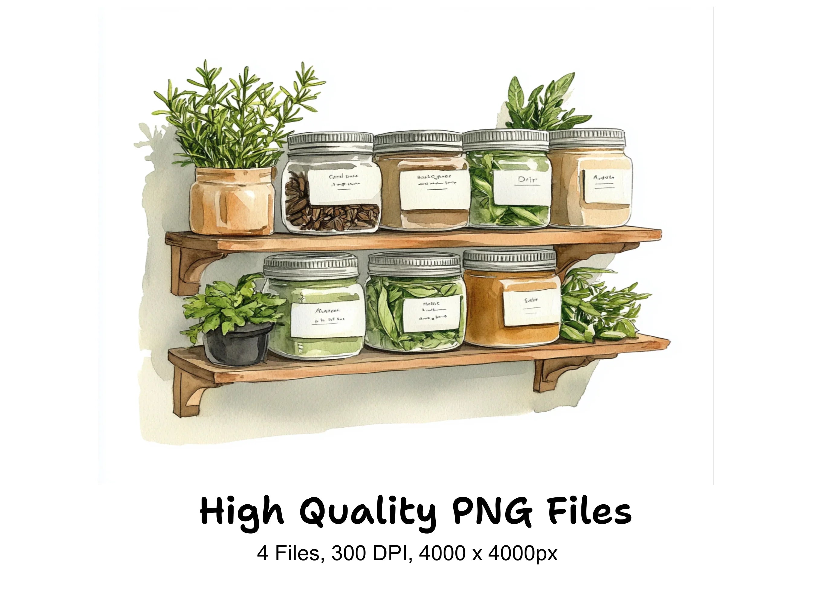 Herb Jars on Wooden Shelves Clipart Bundle