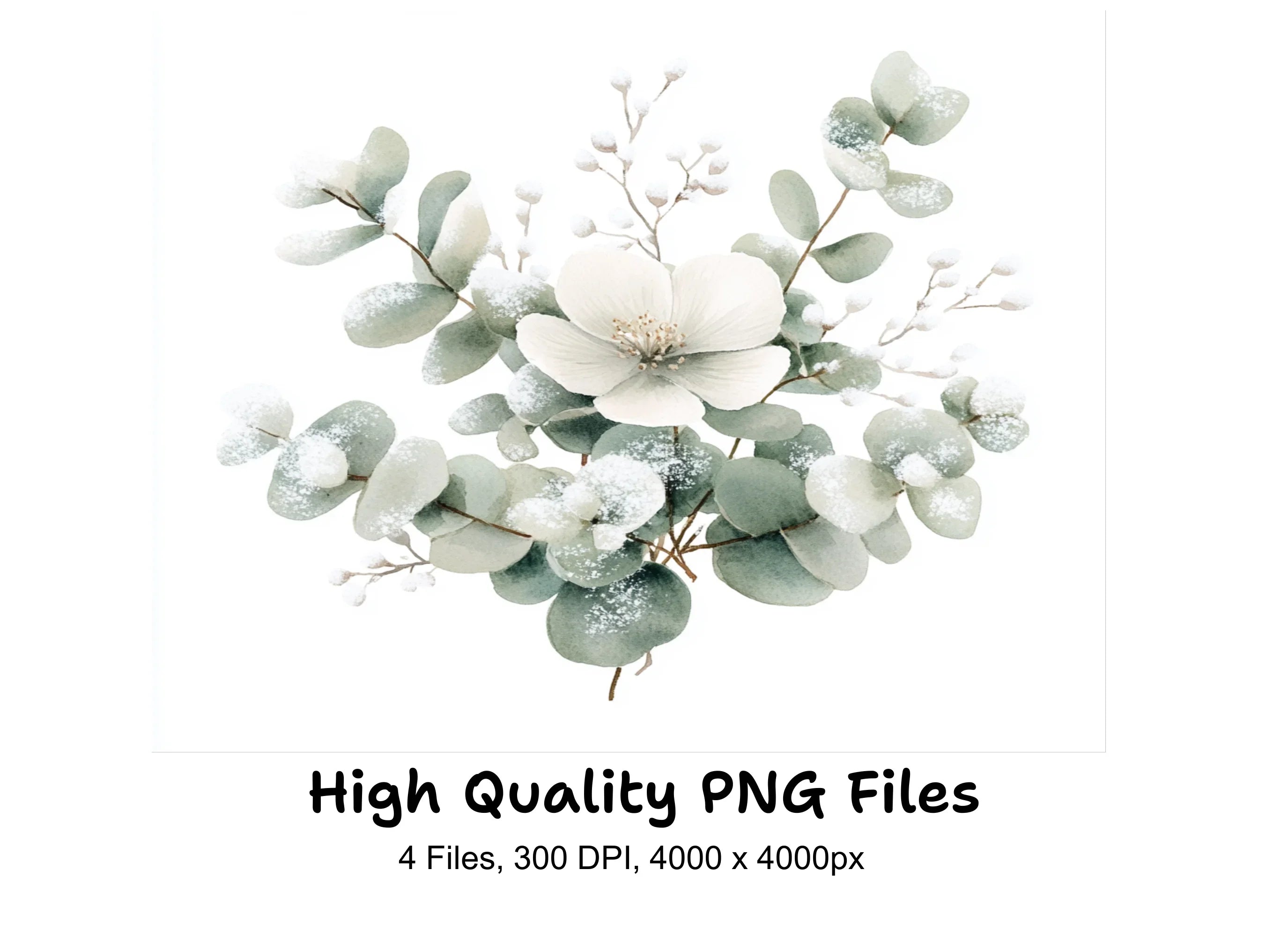 Eucalyptus Winter Flower Clipart Bundle