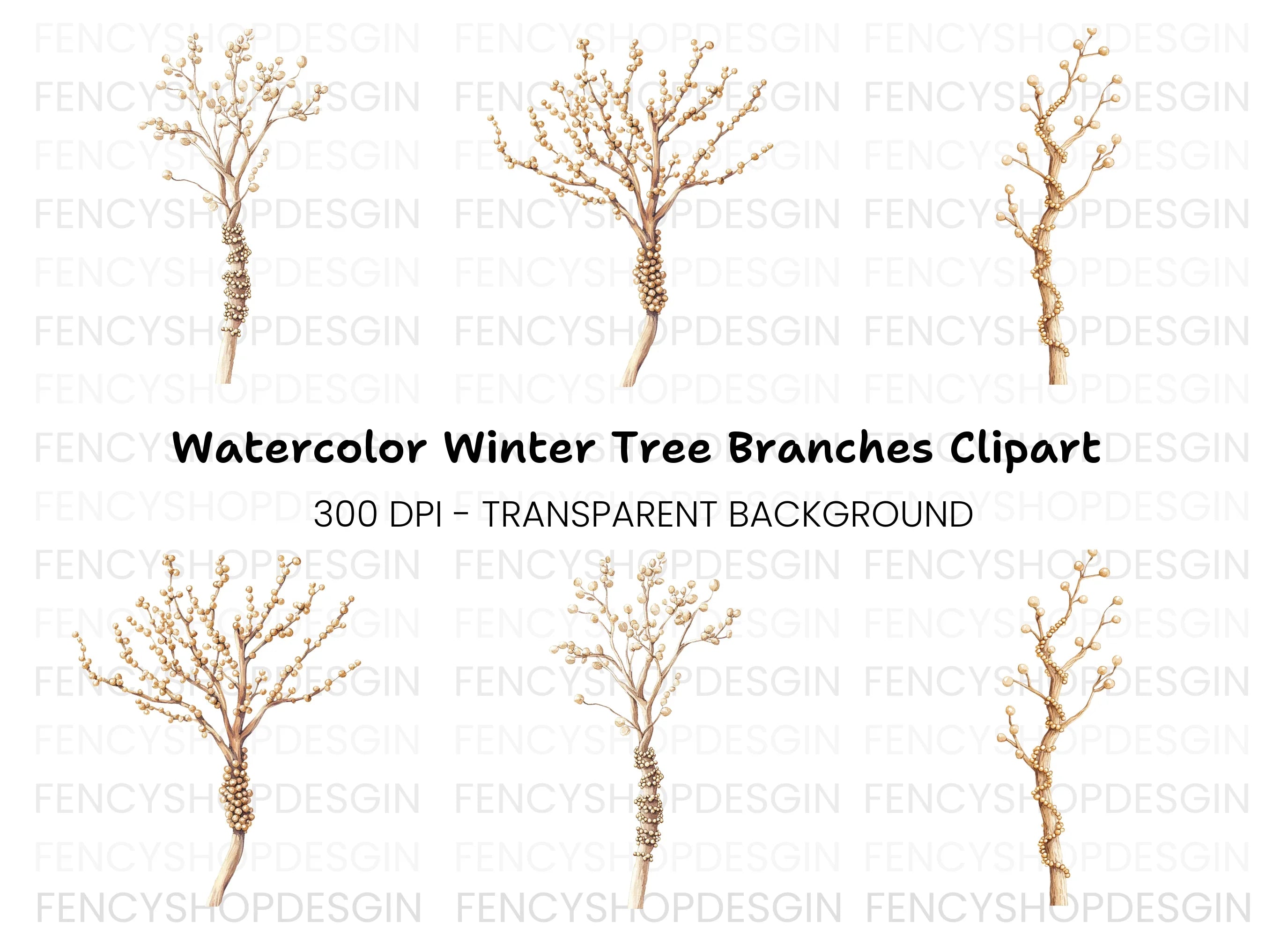 Microscopic Fungi Spore Clipart Bundle
