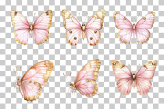Pink Butterfly Gold Wings Clipart Bundle - CraftNest - Digital Crafting and Art