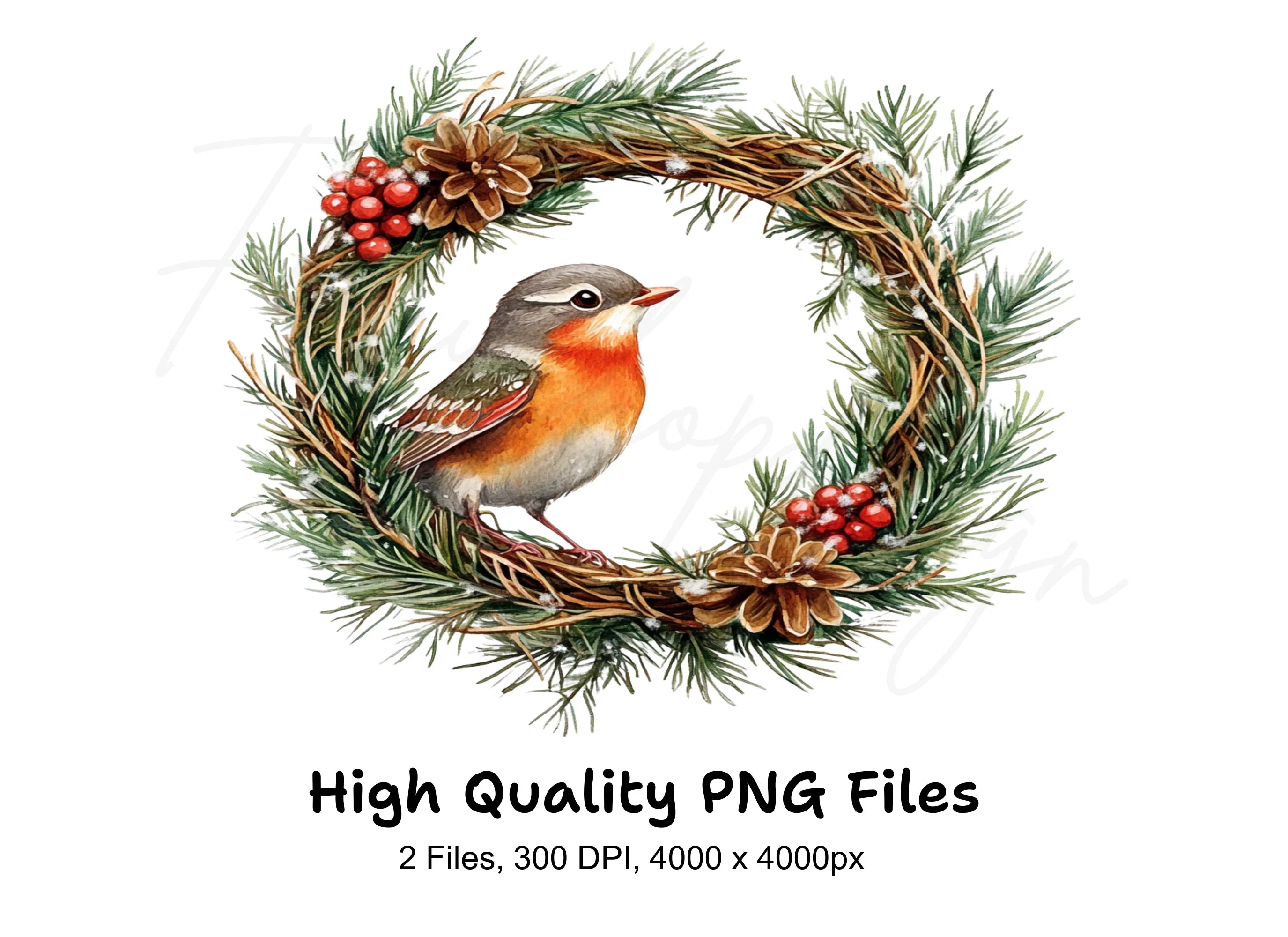 Winter Robin Wreath Clipart Bundle