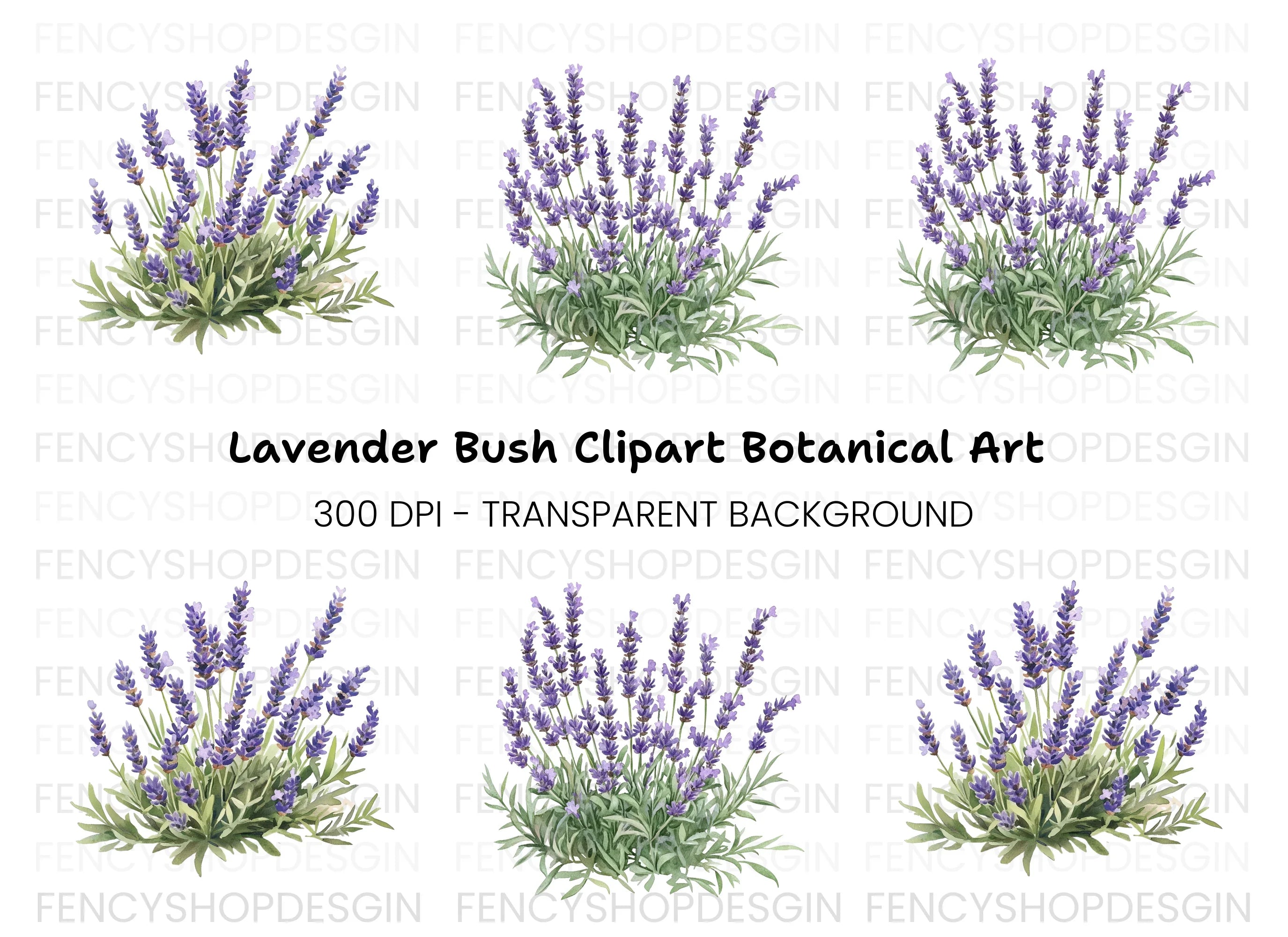 Lavender Bush Designs Clipart Bundle