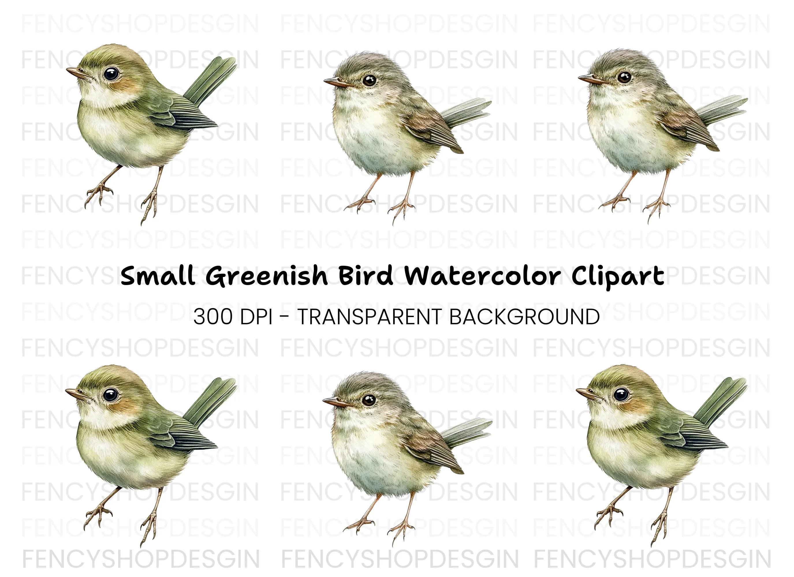 Cute Bird Clipart Bundle