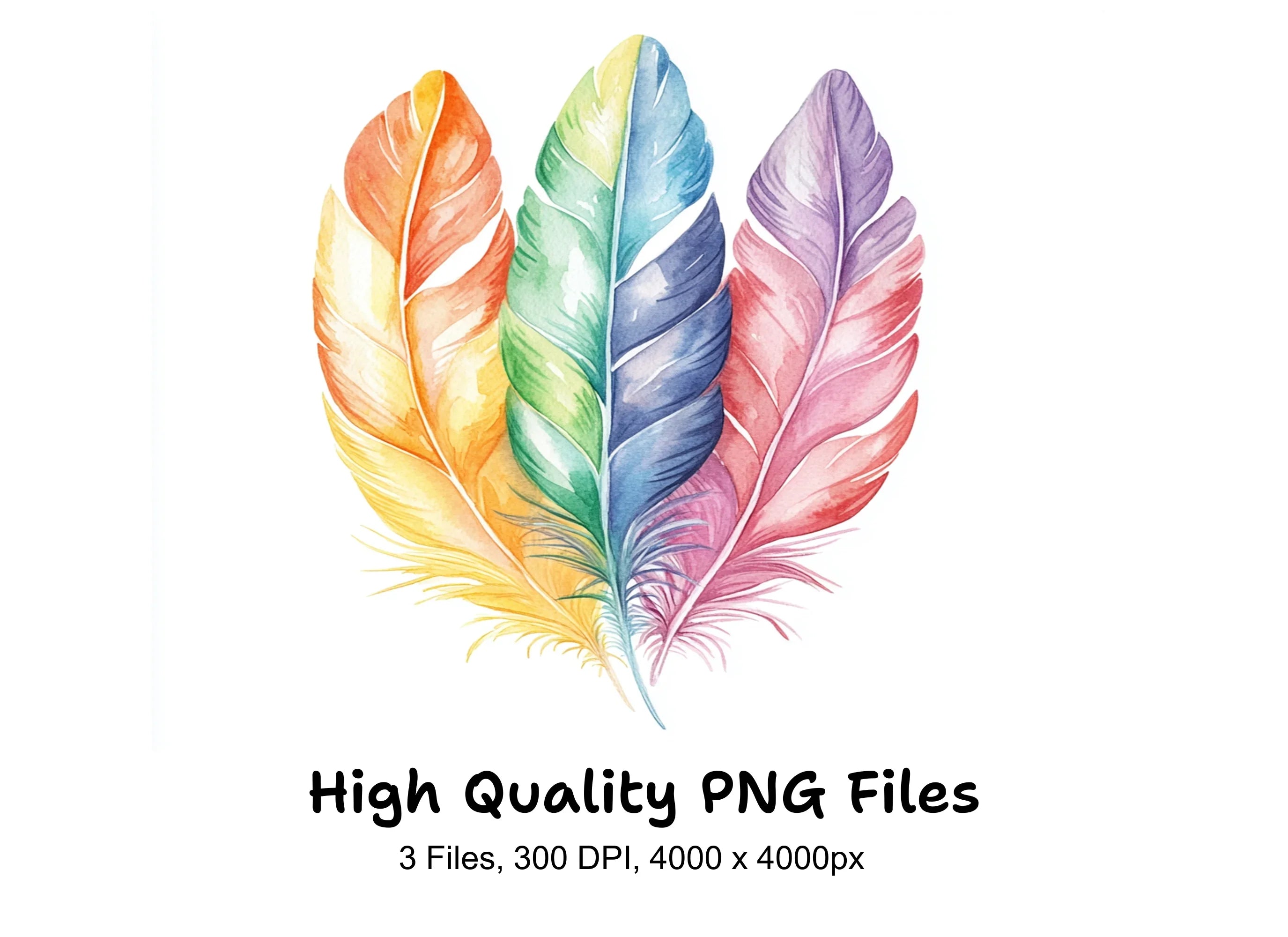 Assorted Colorful Feather Clipart Bundle