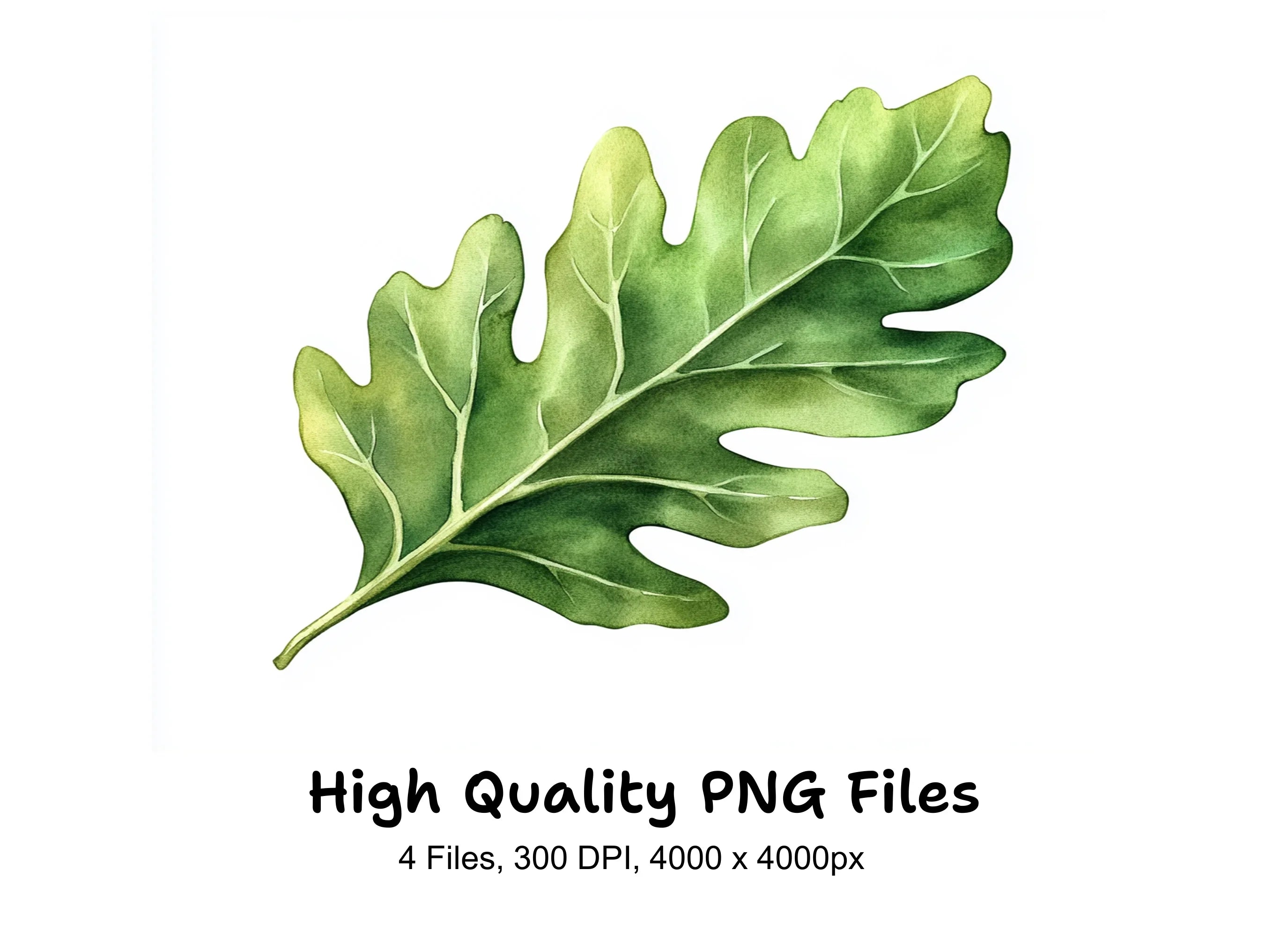 Green Leaves Clipart Bundle