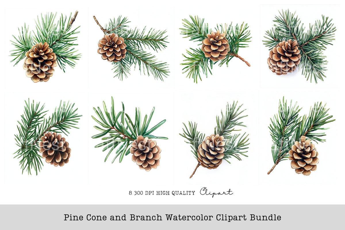 Pine Cone And Branch Clipart Bundle