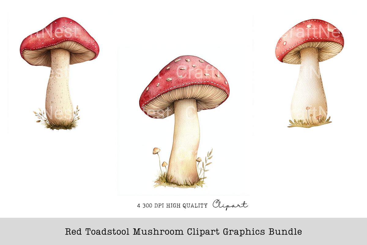 Red Toadstool Mushroom Graphics Clipart Bundle