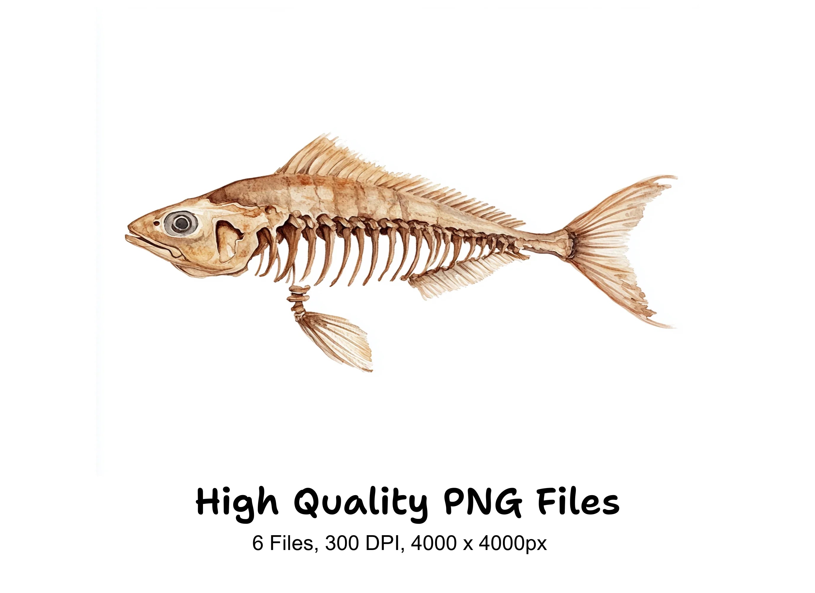 Fish Skeleton Clipart Bundle