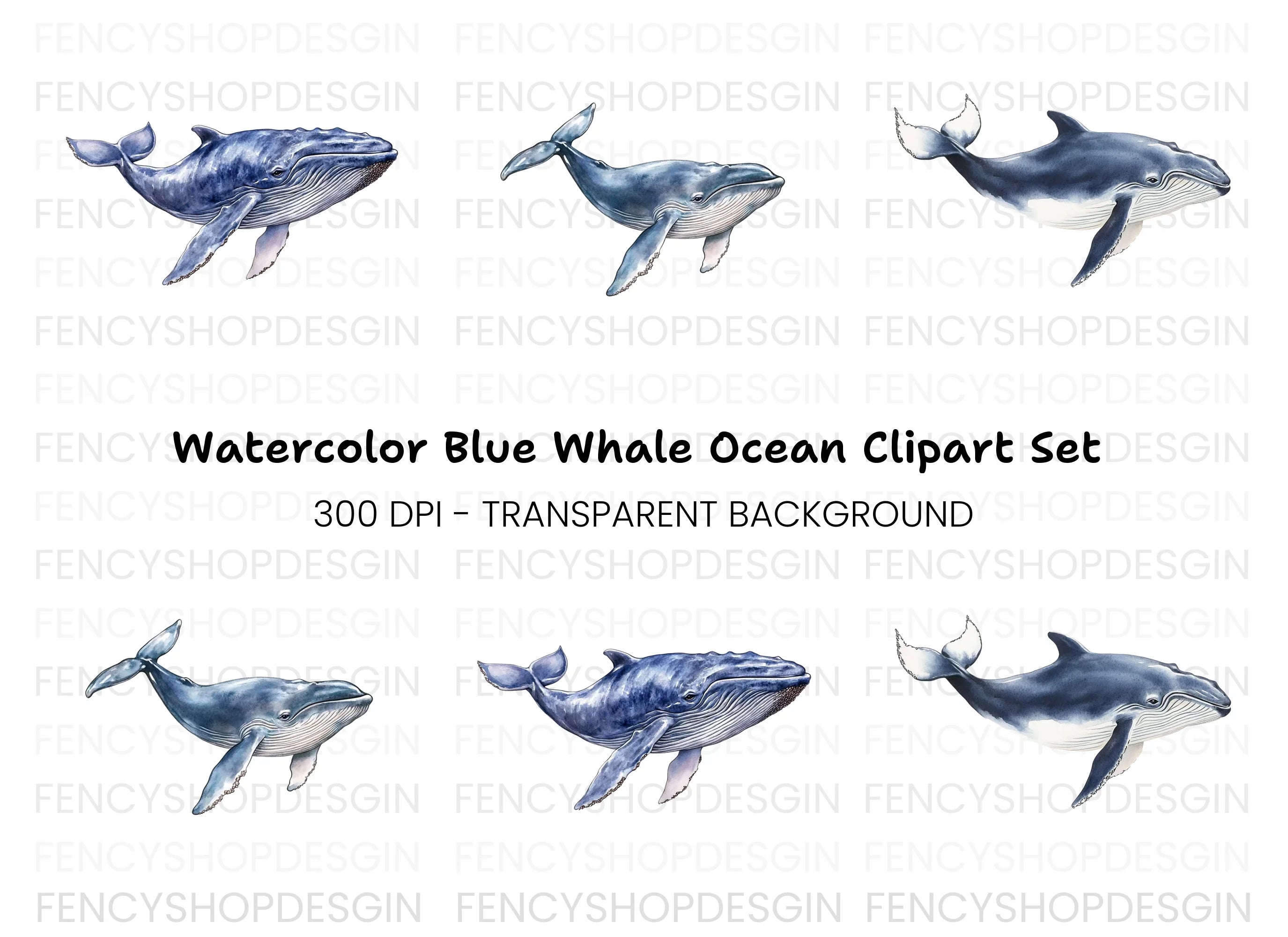 Whale Clipart Bundle for Creative Projects